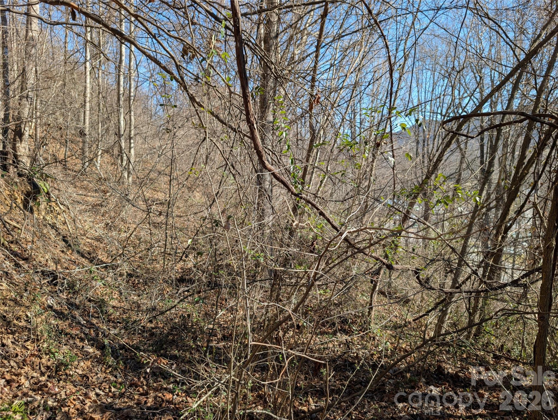 00 Great Smoky Mountain Expy Highway - Photo 6