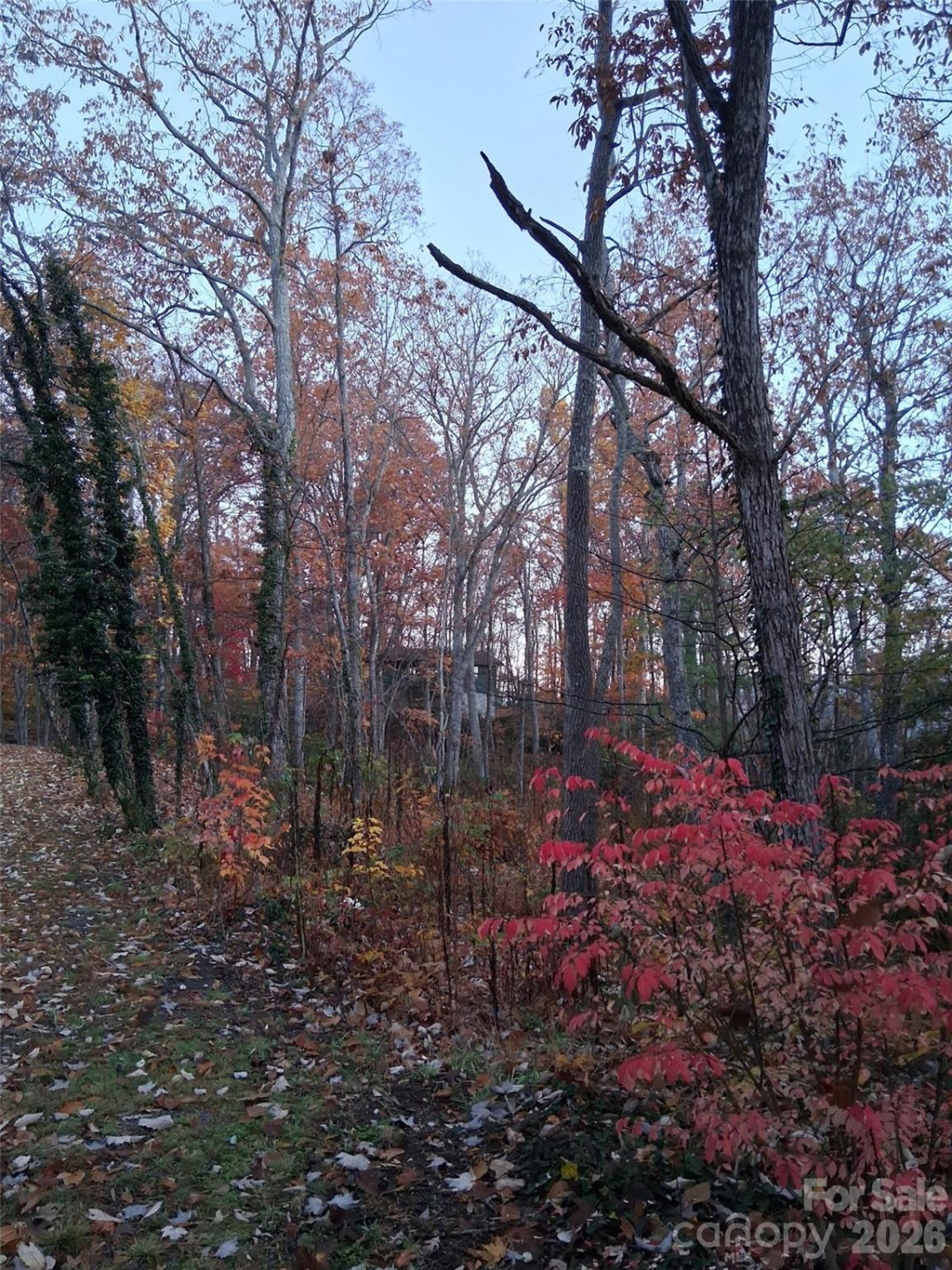 752 Burnside Trail #32 - Photo 27