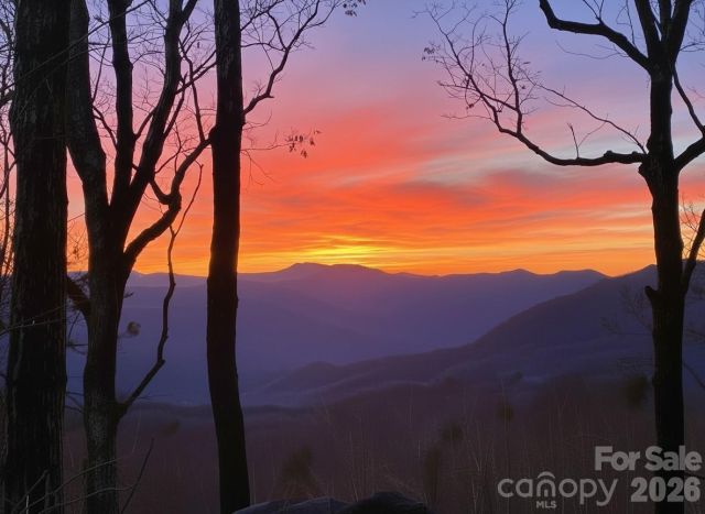 Lot 2 Warren Ridge Road, Old Fort, NC, 28762