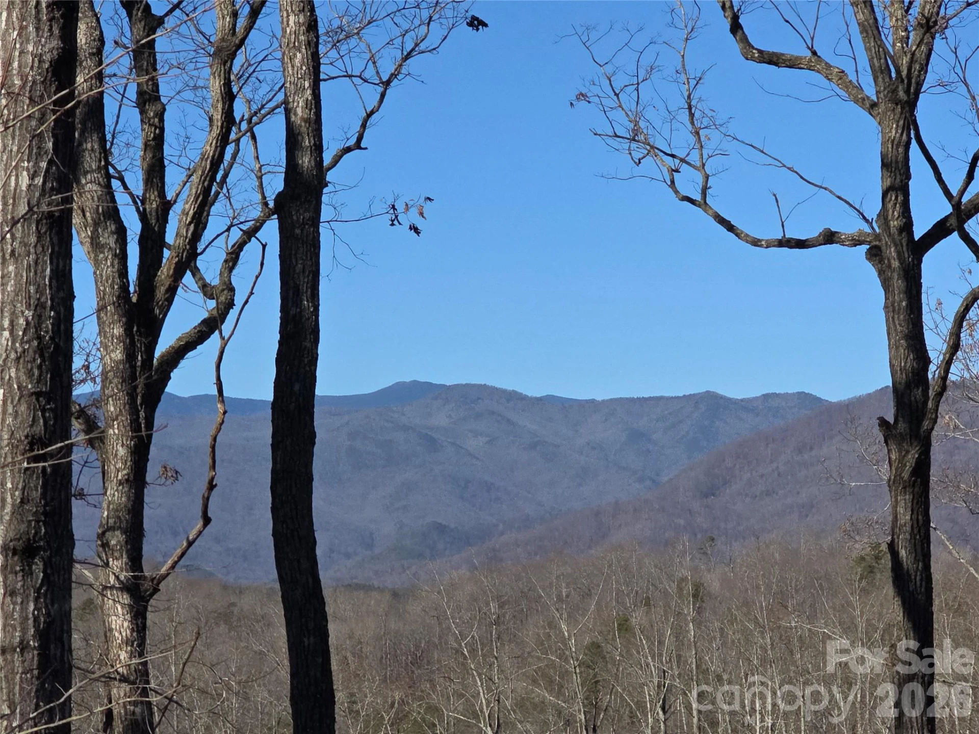 Lot 2 Warren Ridge Road - Photo 2