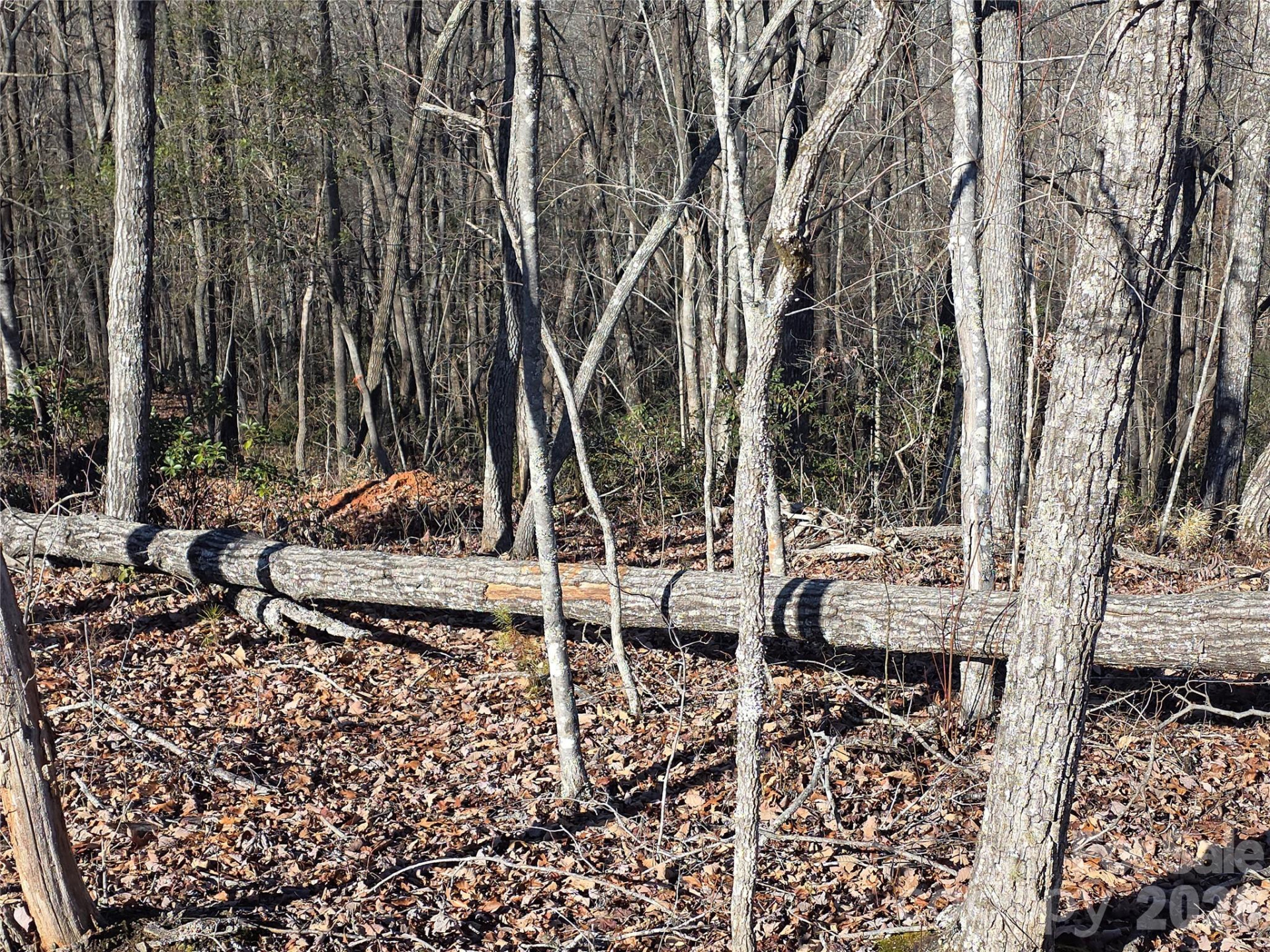 Lot 2 Warren Ridge Road - Photo 6