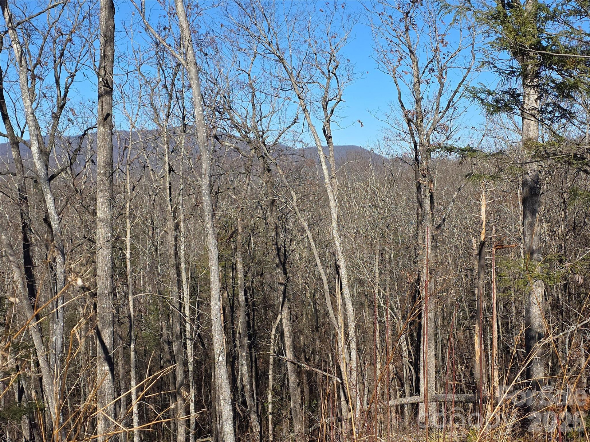 Lot 2 Warren Ridge Road - Photo 8