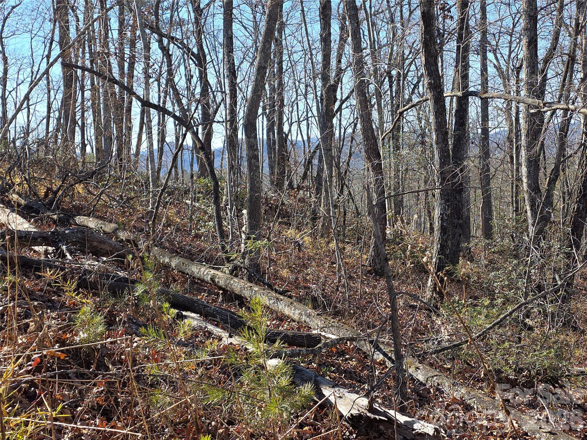 Lot 2 Warren Ridge Road - Photo 9