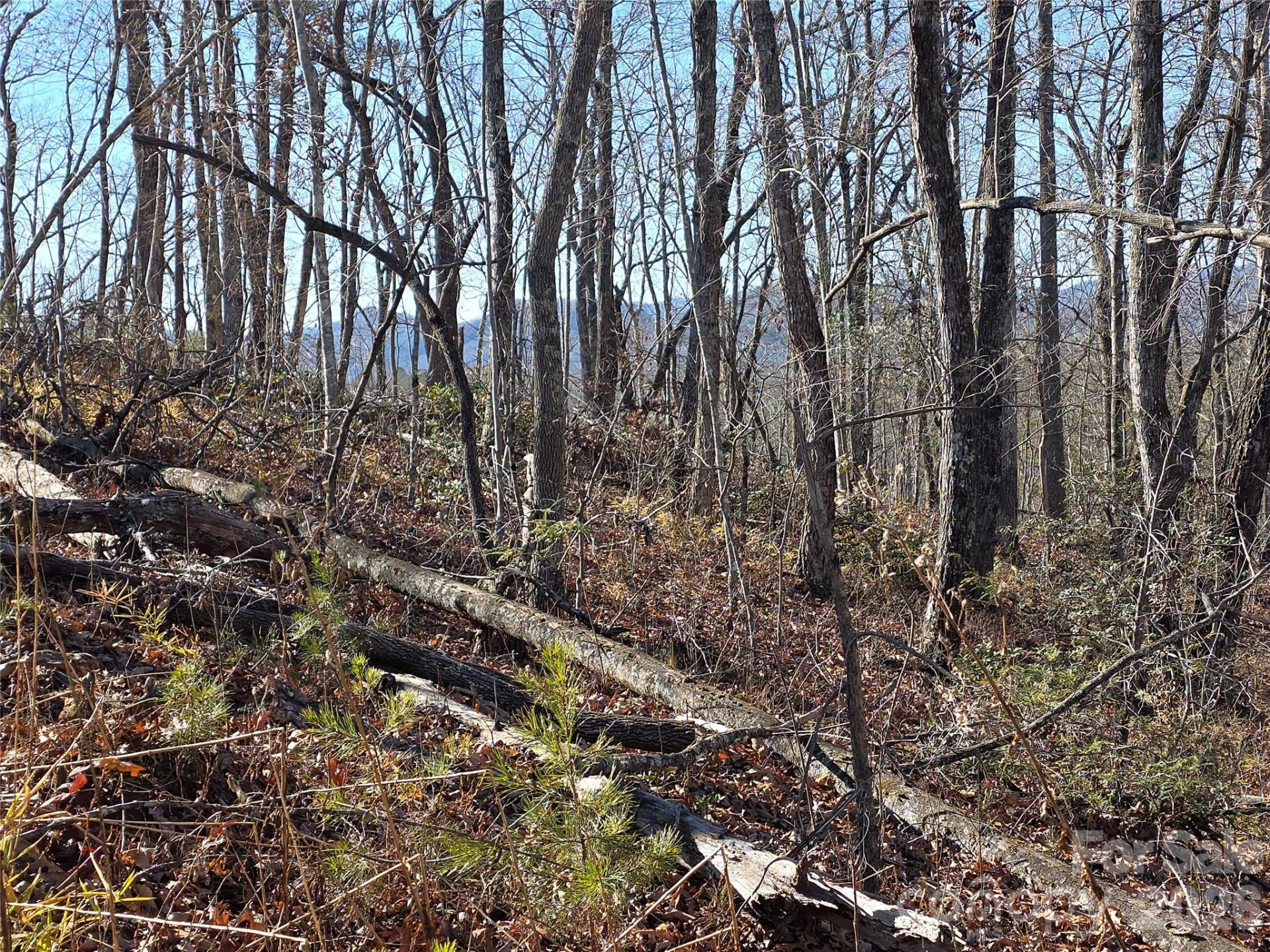 Lot 2 Warren Ridge Road - Photo 9