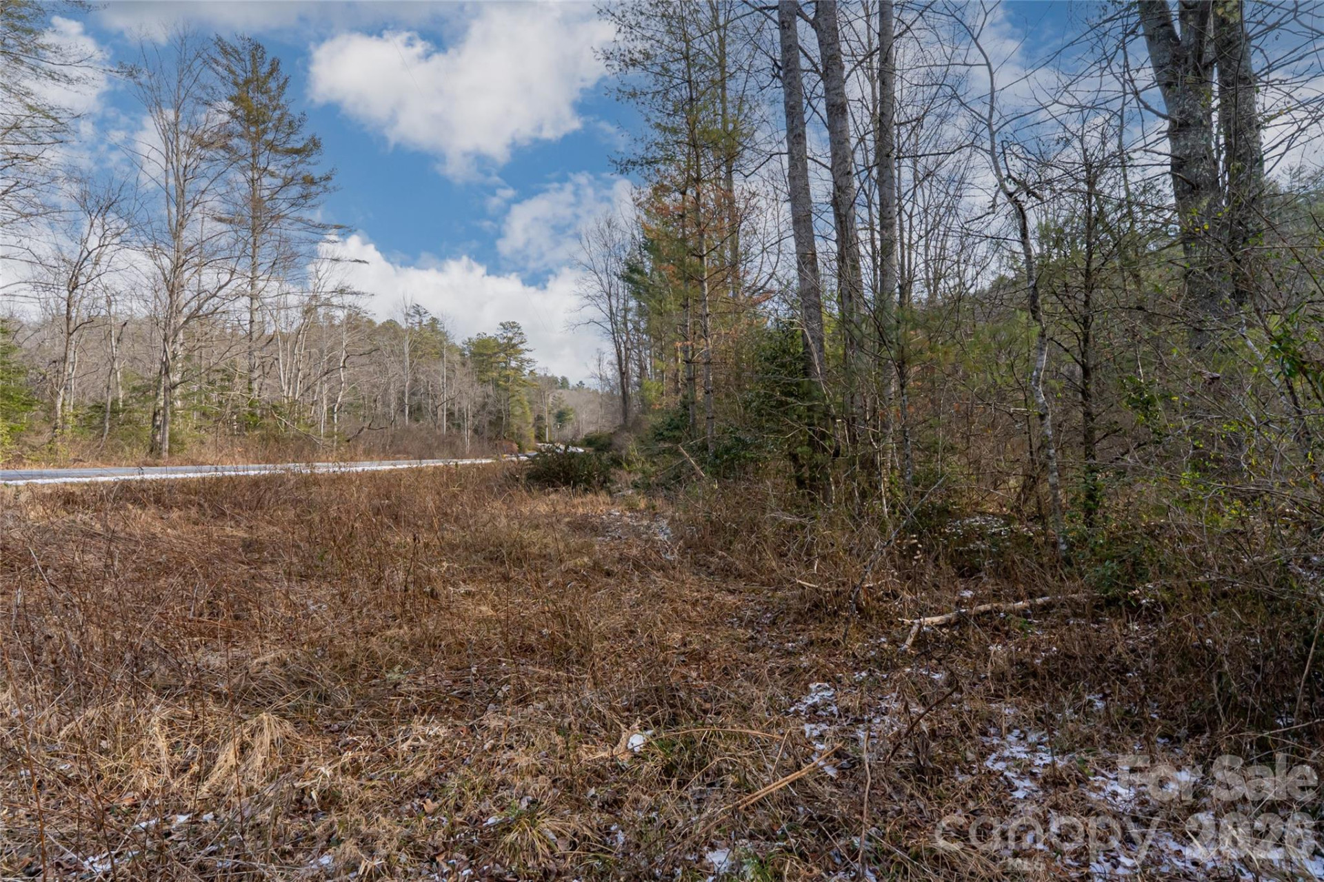 99999 Old NC 280 Highway - Photo 2
