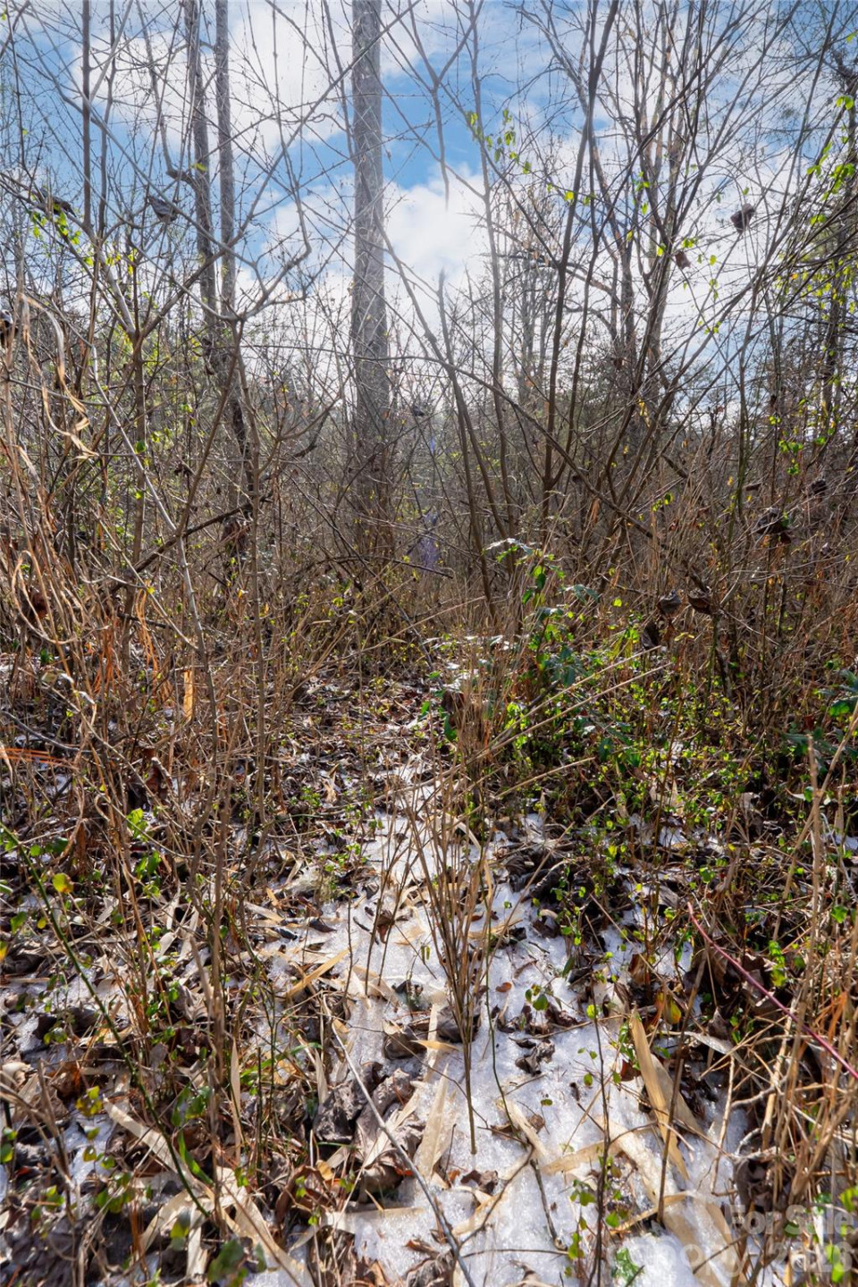 99999 Old NC 280 Highway - Photo 11