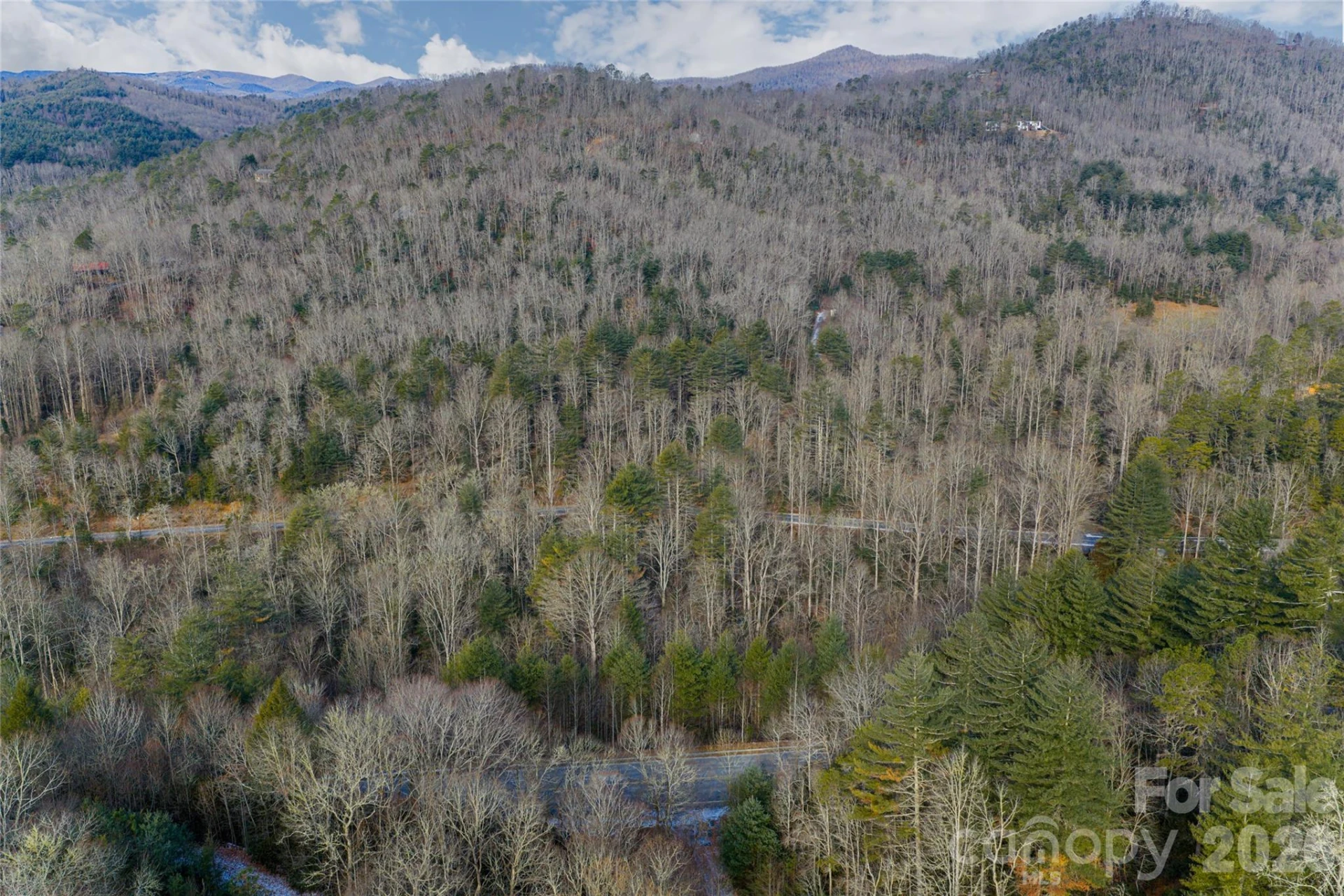 99999 Old NC 280 Highway - Photo 16