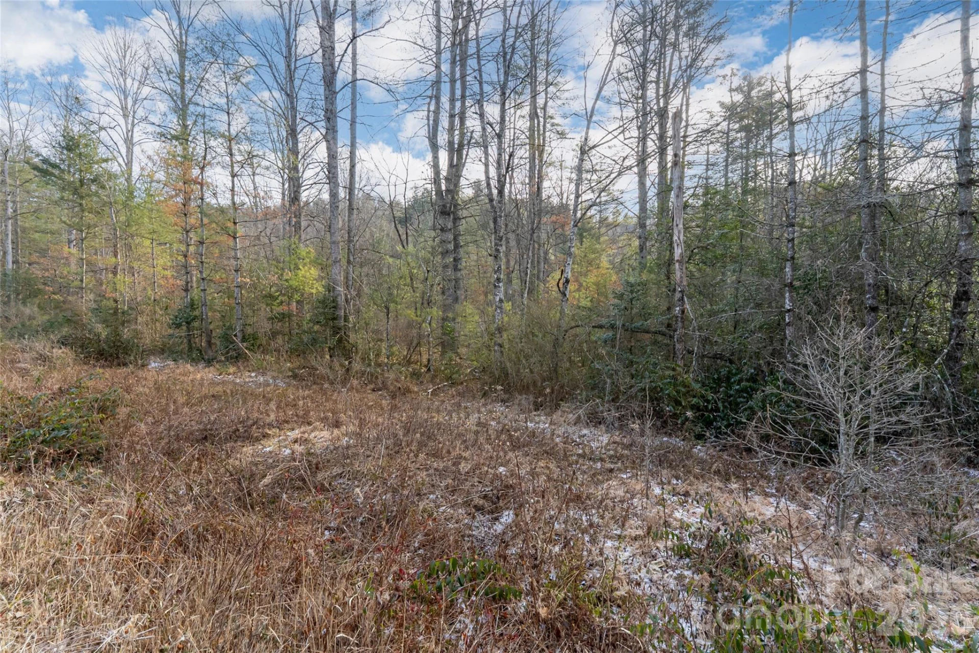 99999 Old NC 280 Highway - Photo 3