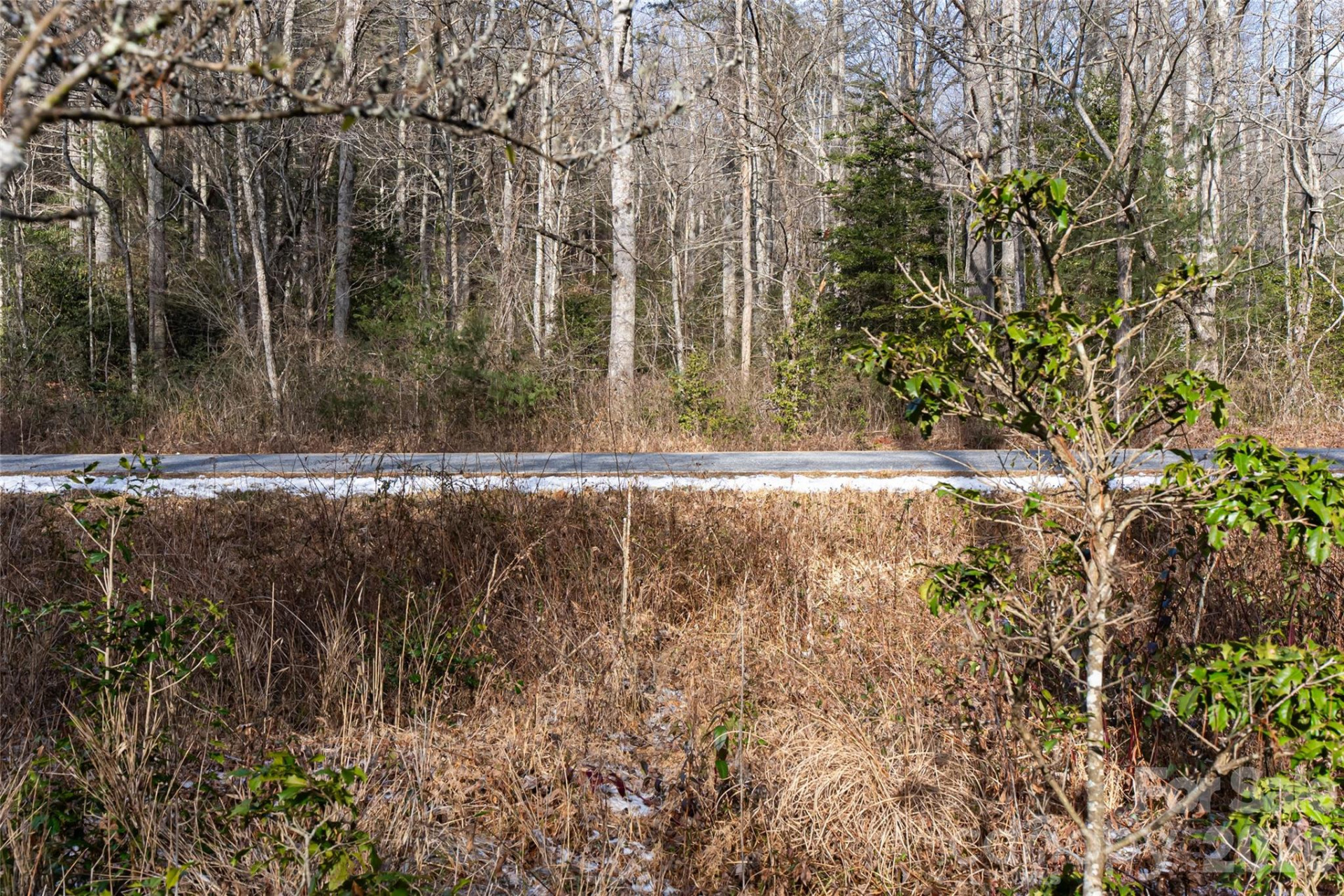 99999 Old NC 280 Highway - Photo 7