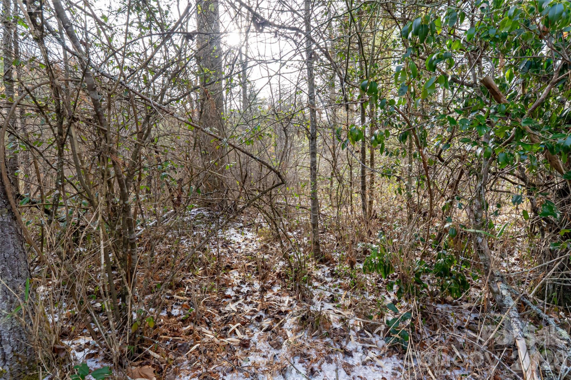 99999 Old NC 280 Highway - Photo 8
