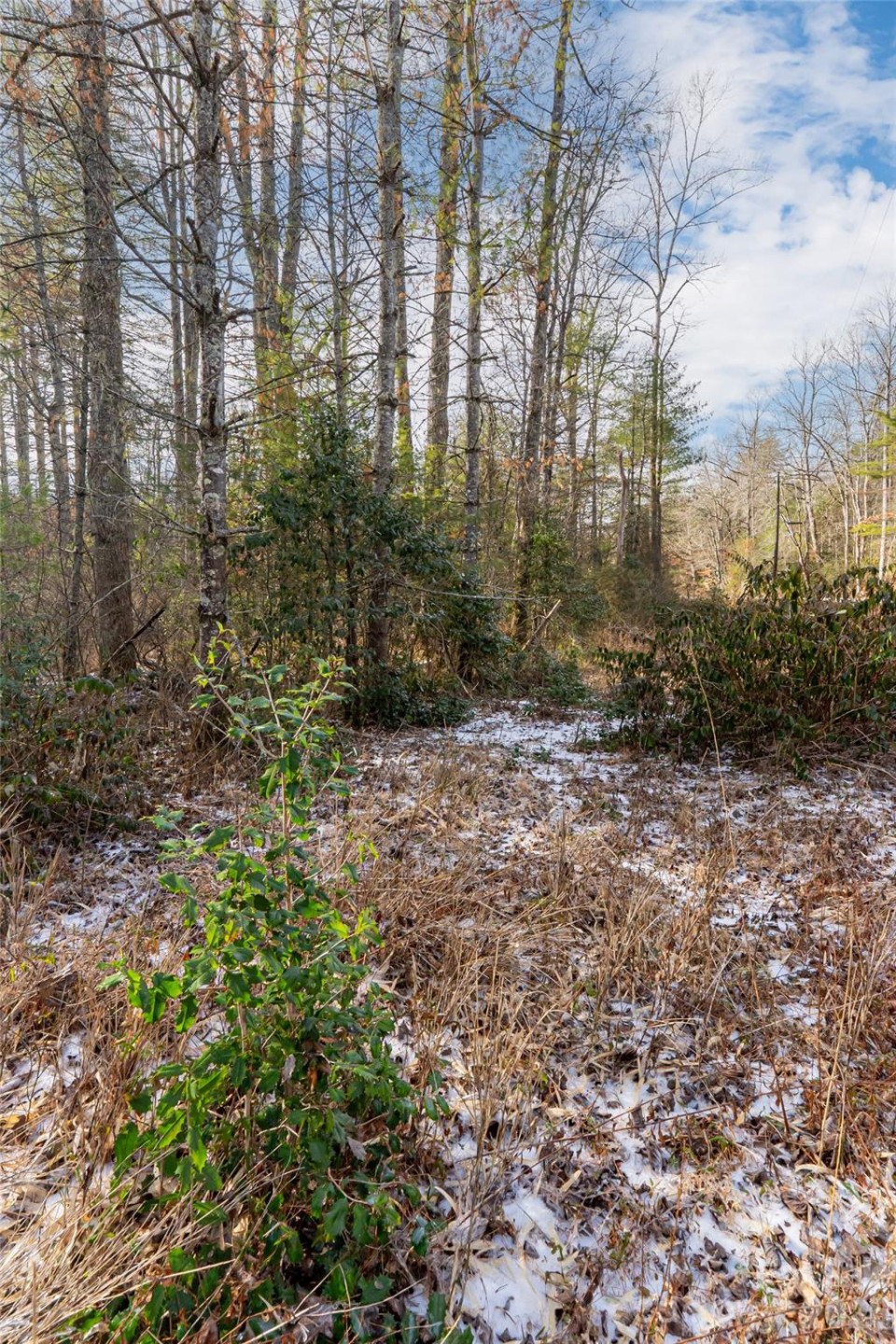 99999 Old NC 280 Highway - Photo 10