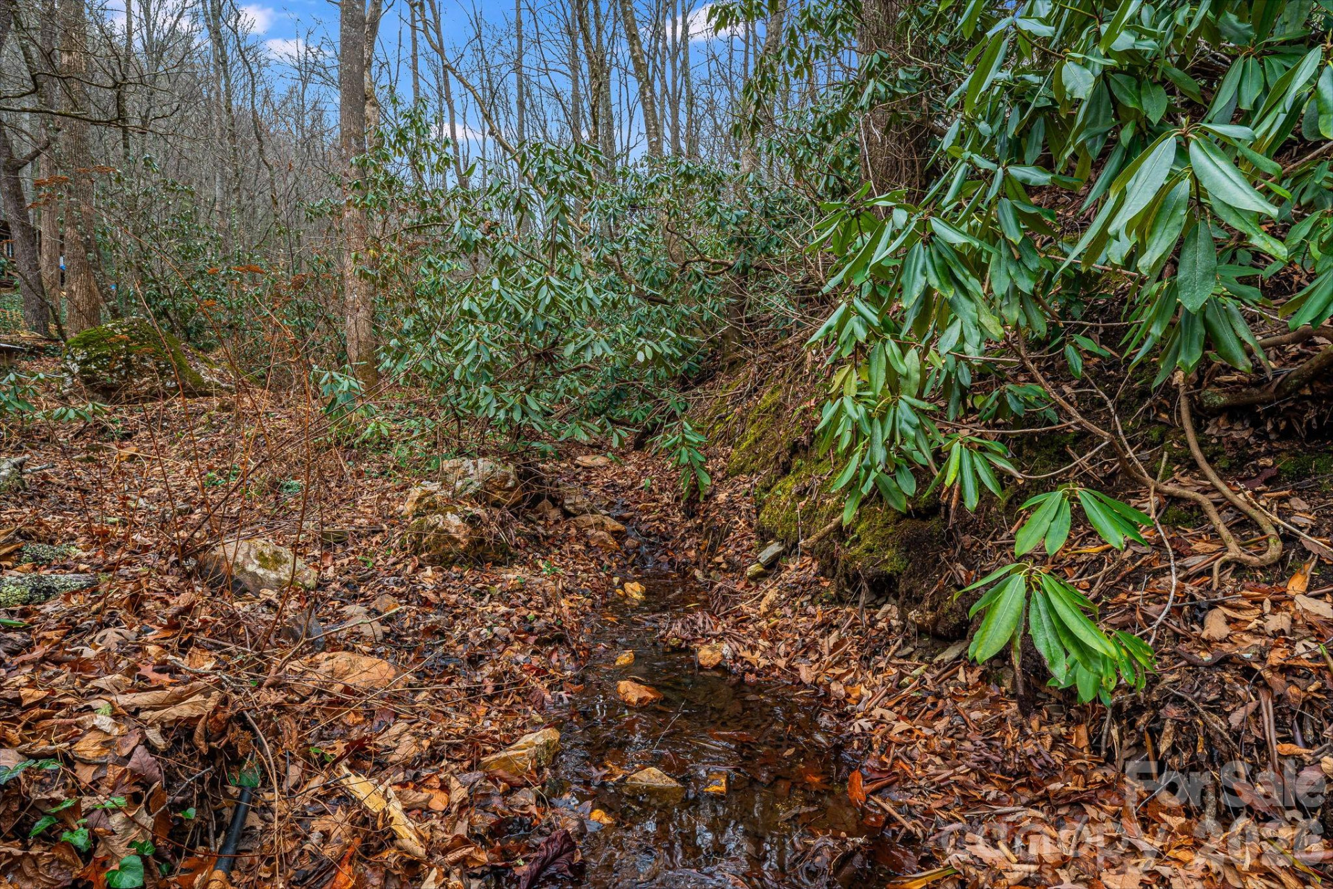 55 Heavenly Lane - Photo 38