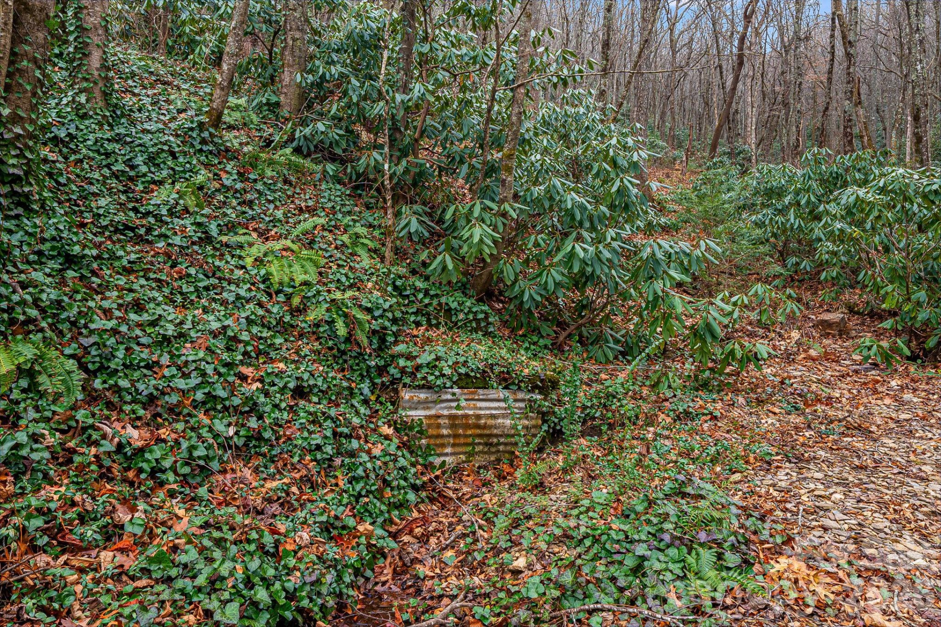 55 Heavenly Lane - Photo 40