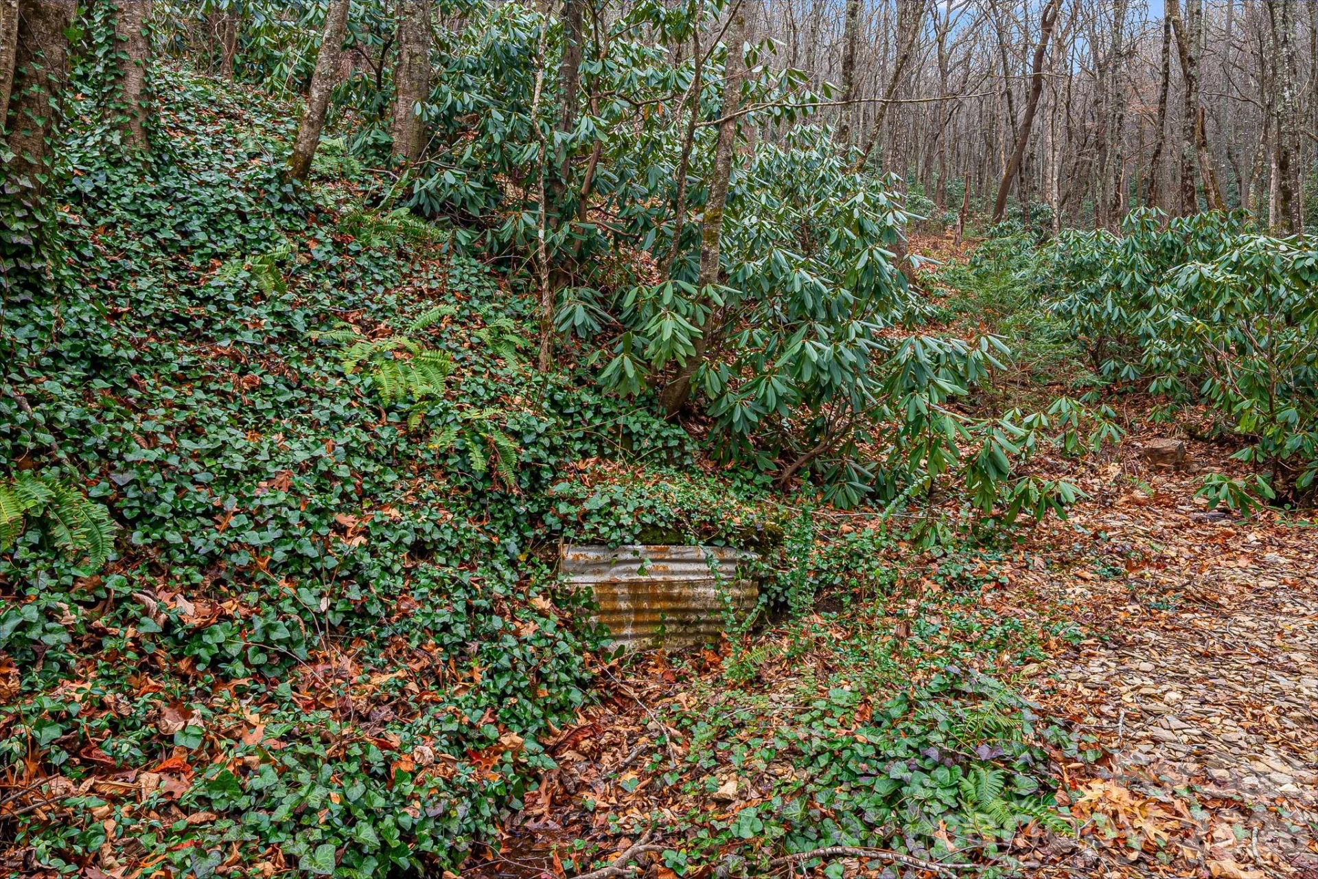 55 Heavenly Lane - Photo 40