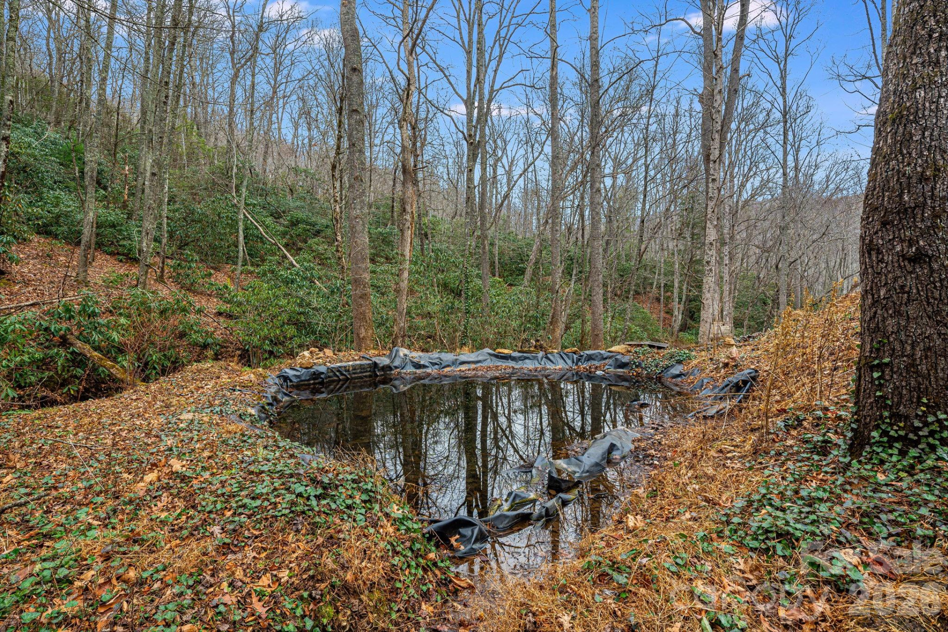 55 Heavenly Lane - Photo 5