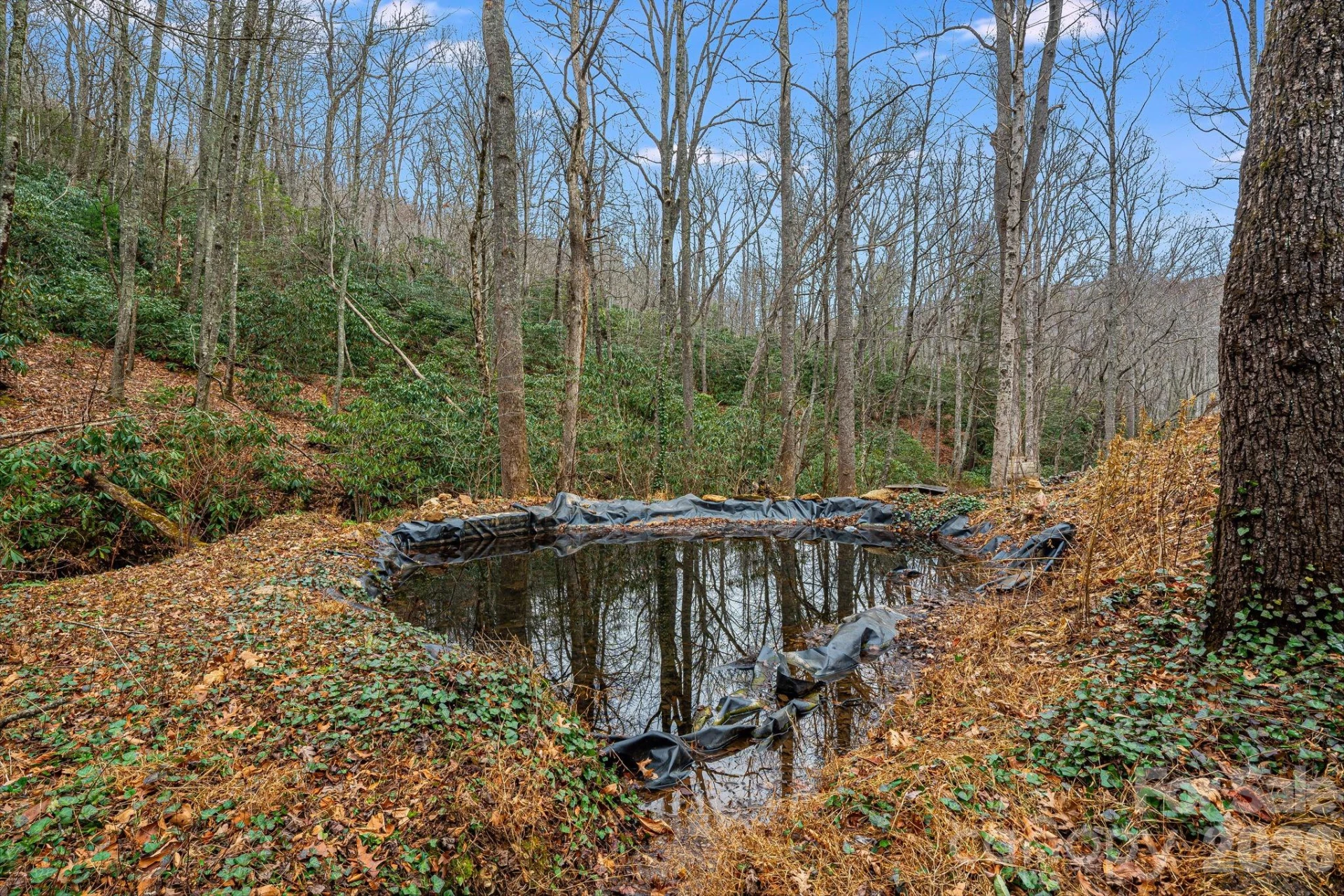 55 Heavenly Lane - Photo 5
