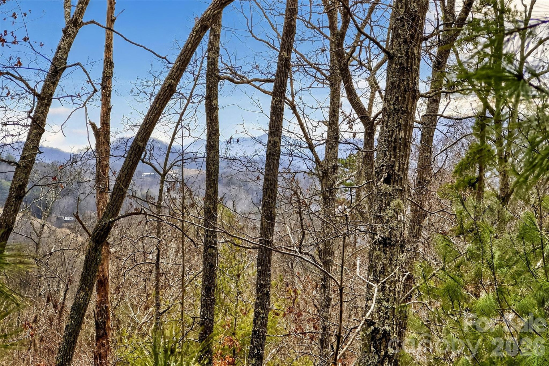 149 Turkey Trot Trail #17