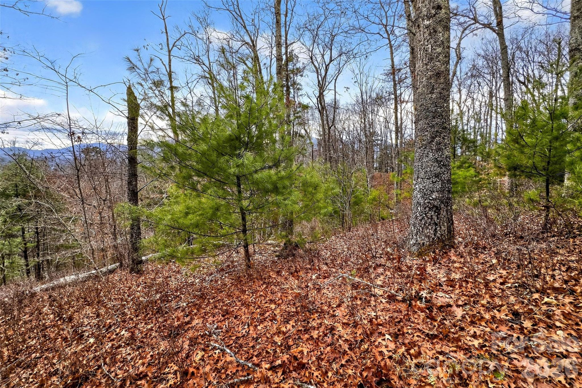 149 Turkey Trot Trail #17 - Photo 2