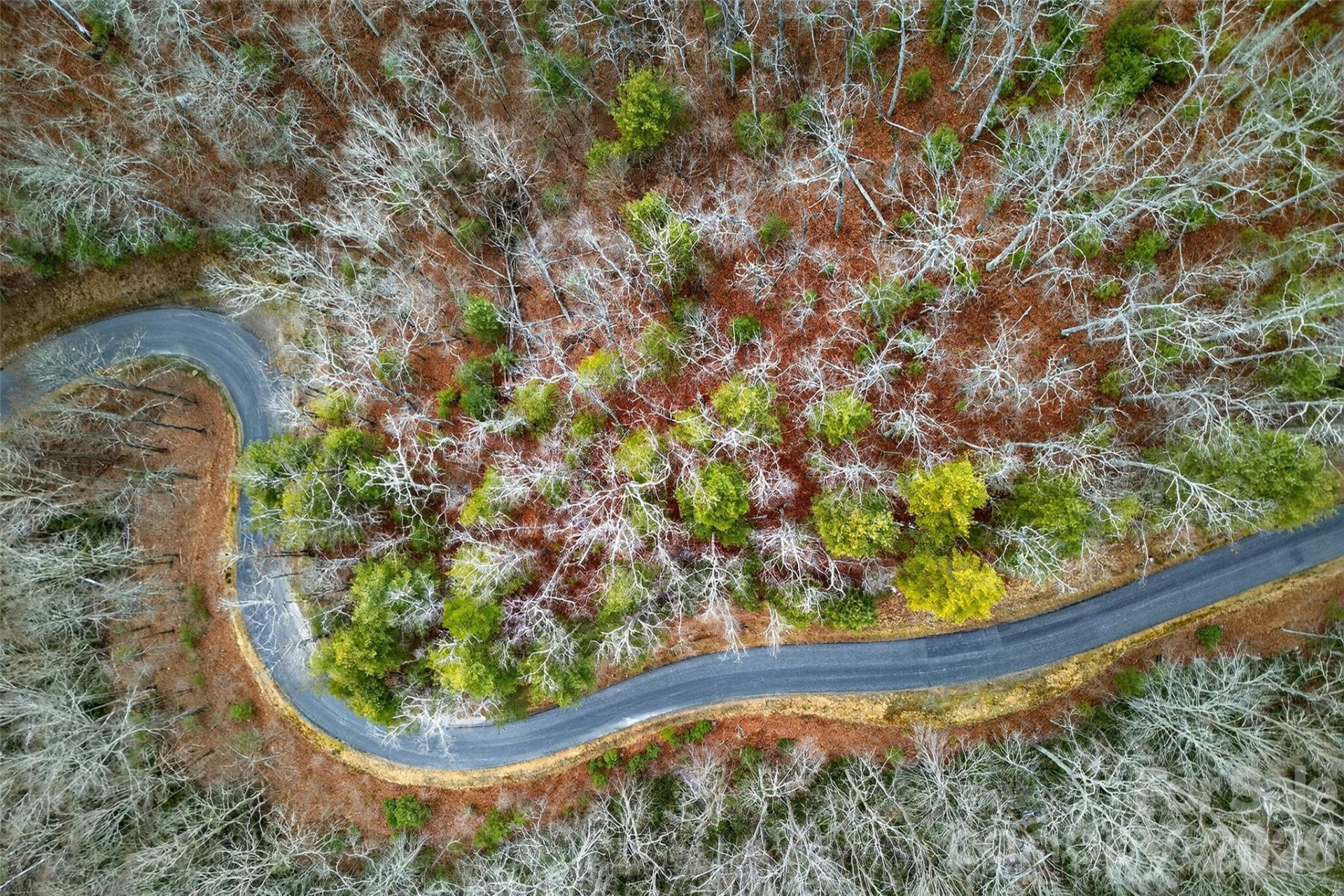 149 Turkey Trot Trail #17 - Photo 11