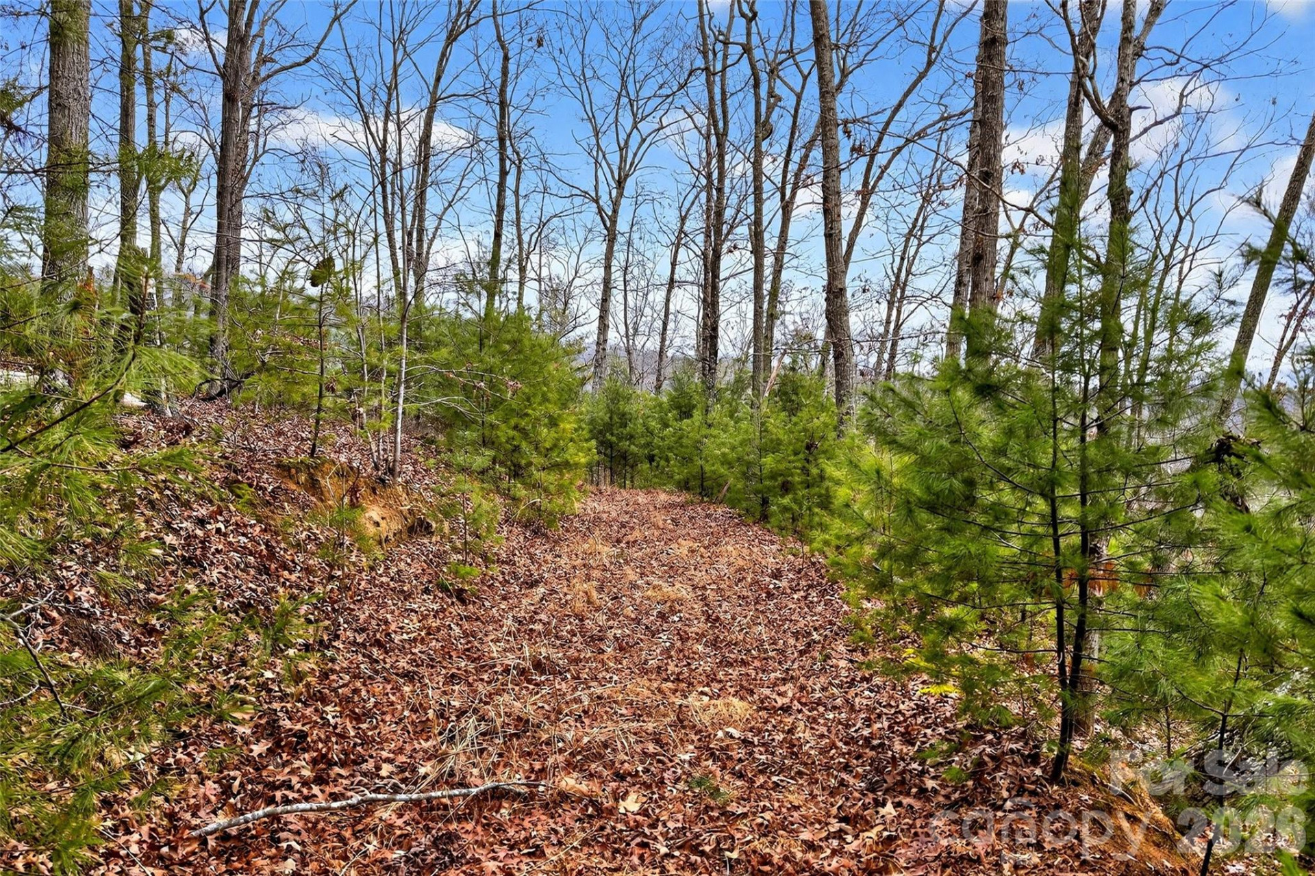 149 Turkey Trot Trail #17 - Photo 5