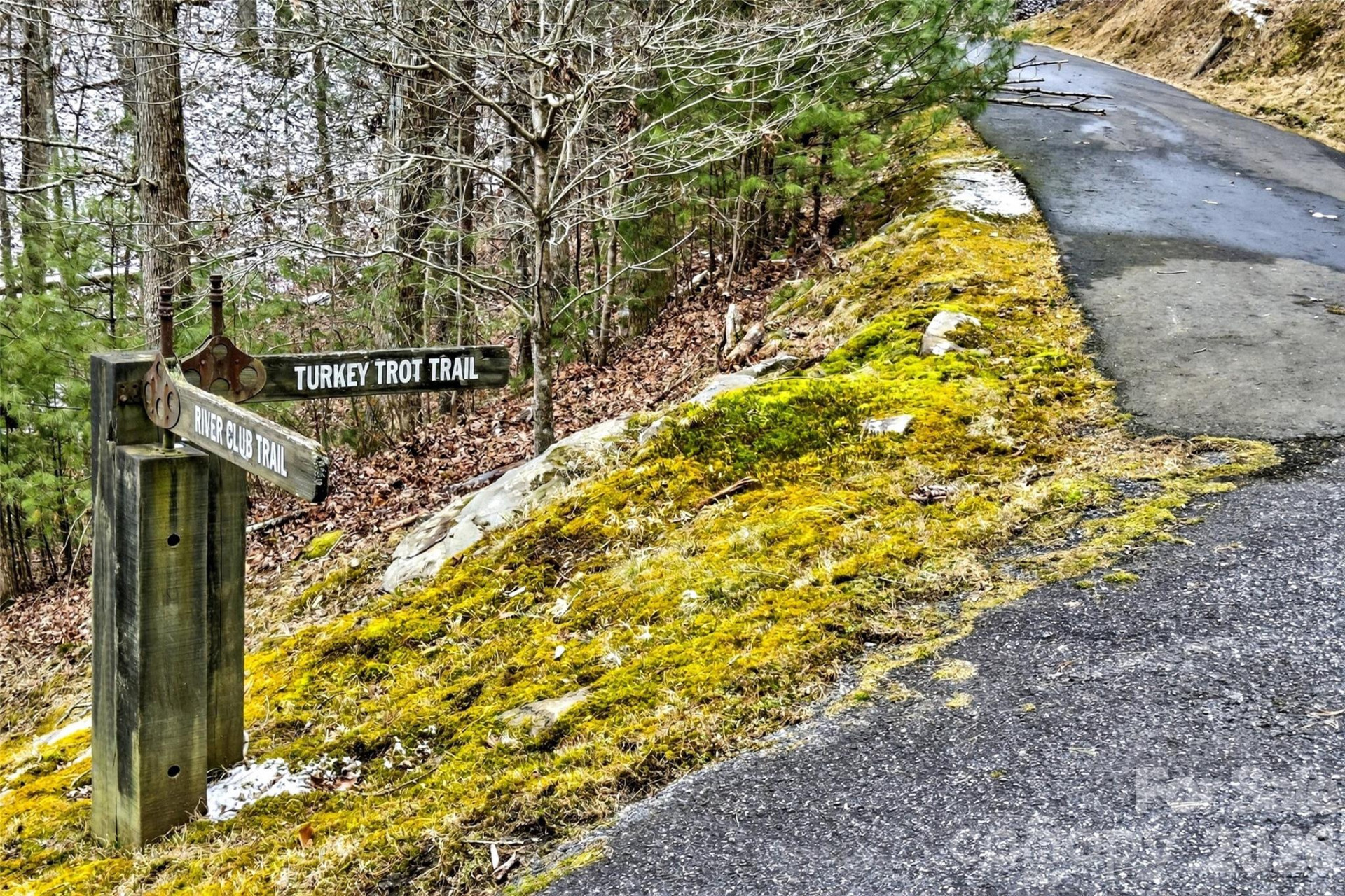 149 Turkey Trot Trail #17 - Photo 6