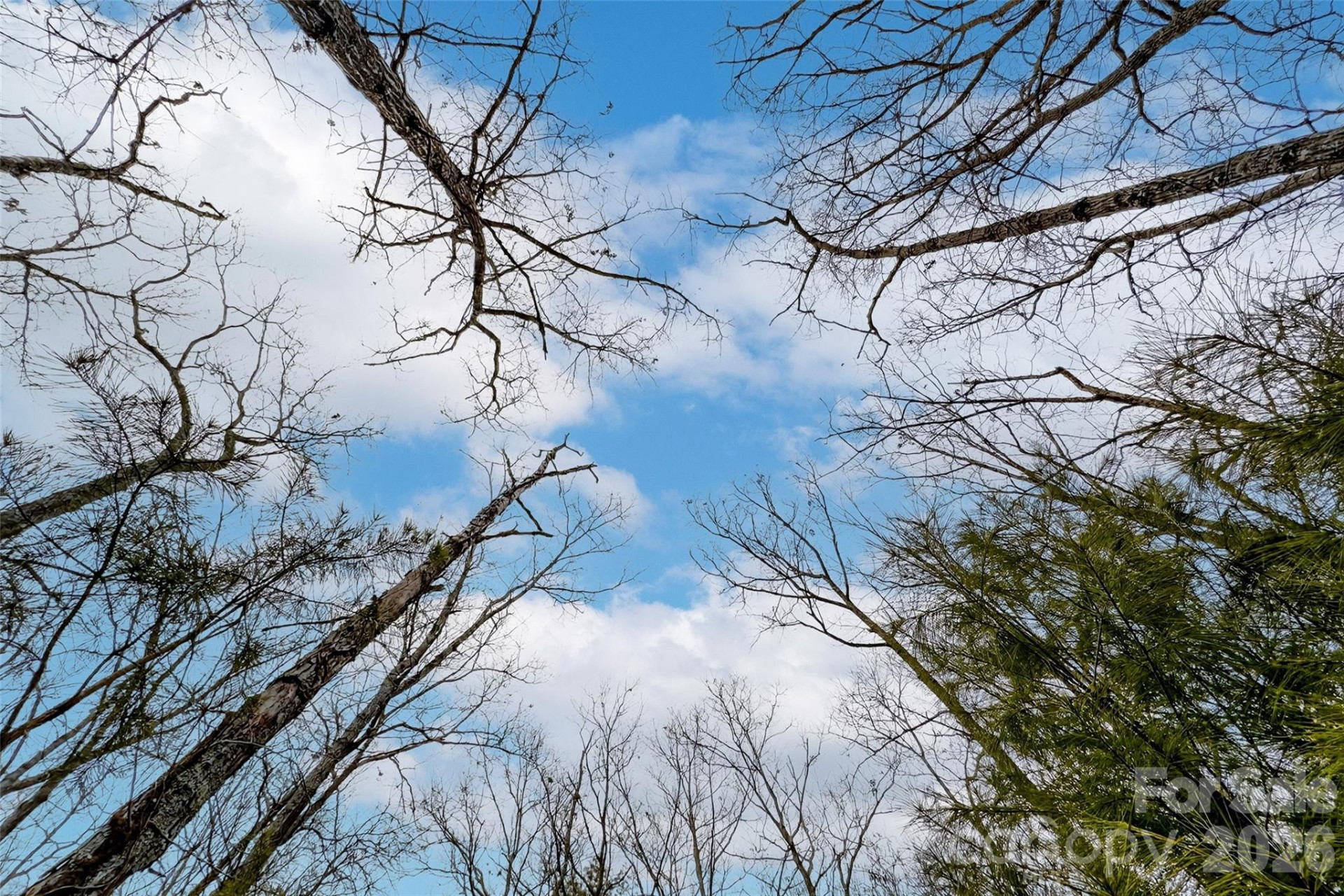 149 Turkey Trot Trail #17 - Photo 7