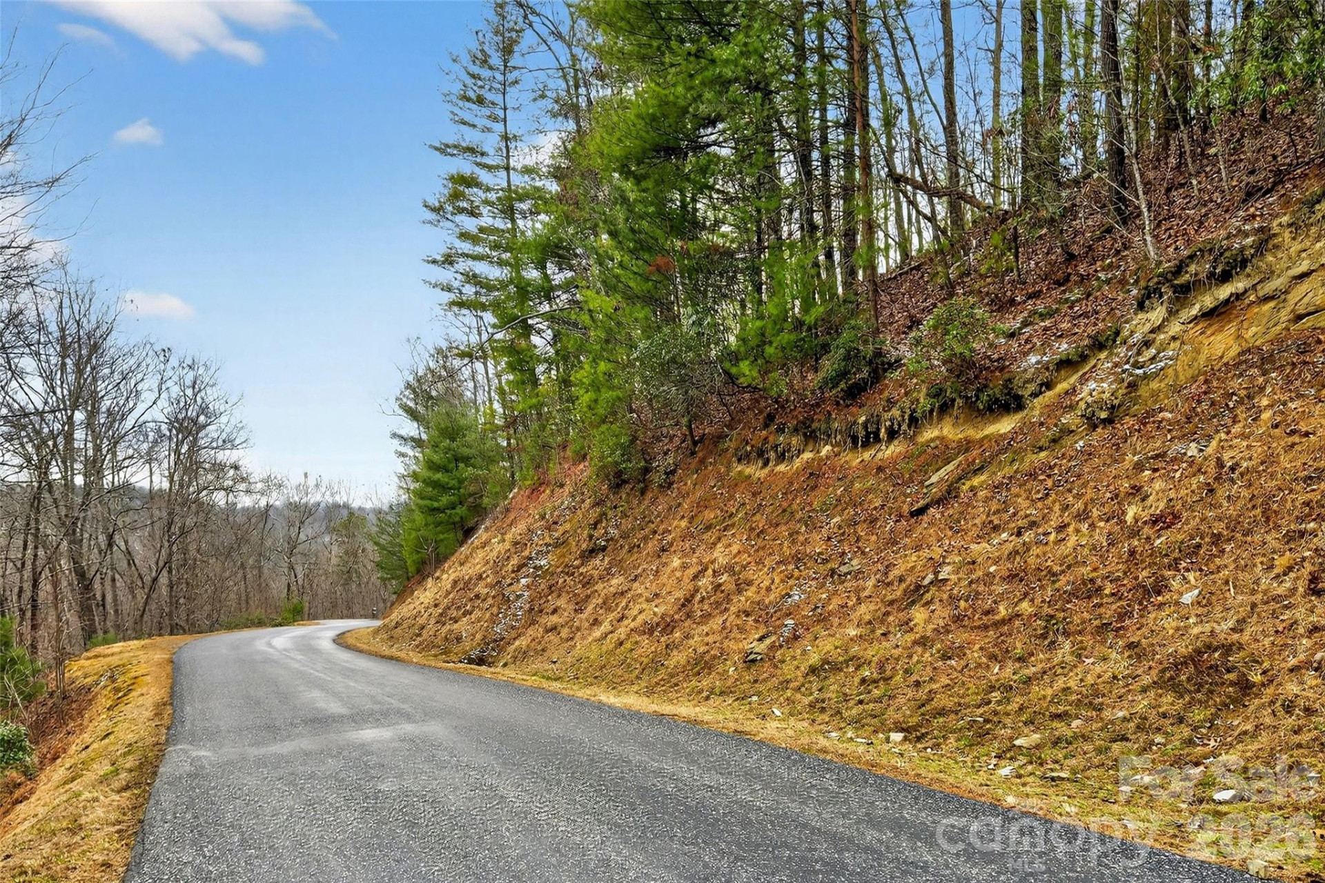 149 Turkey Trot Trail #17 - Photo 8