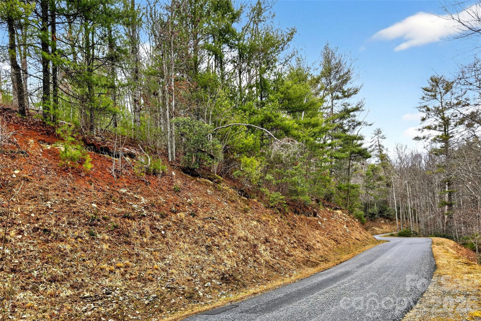 149 Turkey Trot Trail #17 - Photo 9