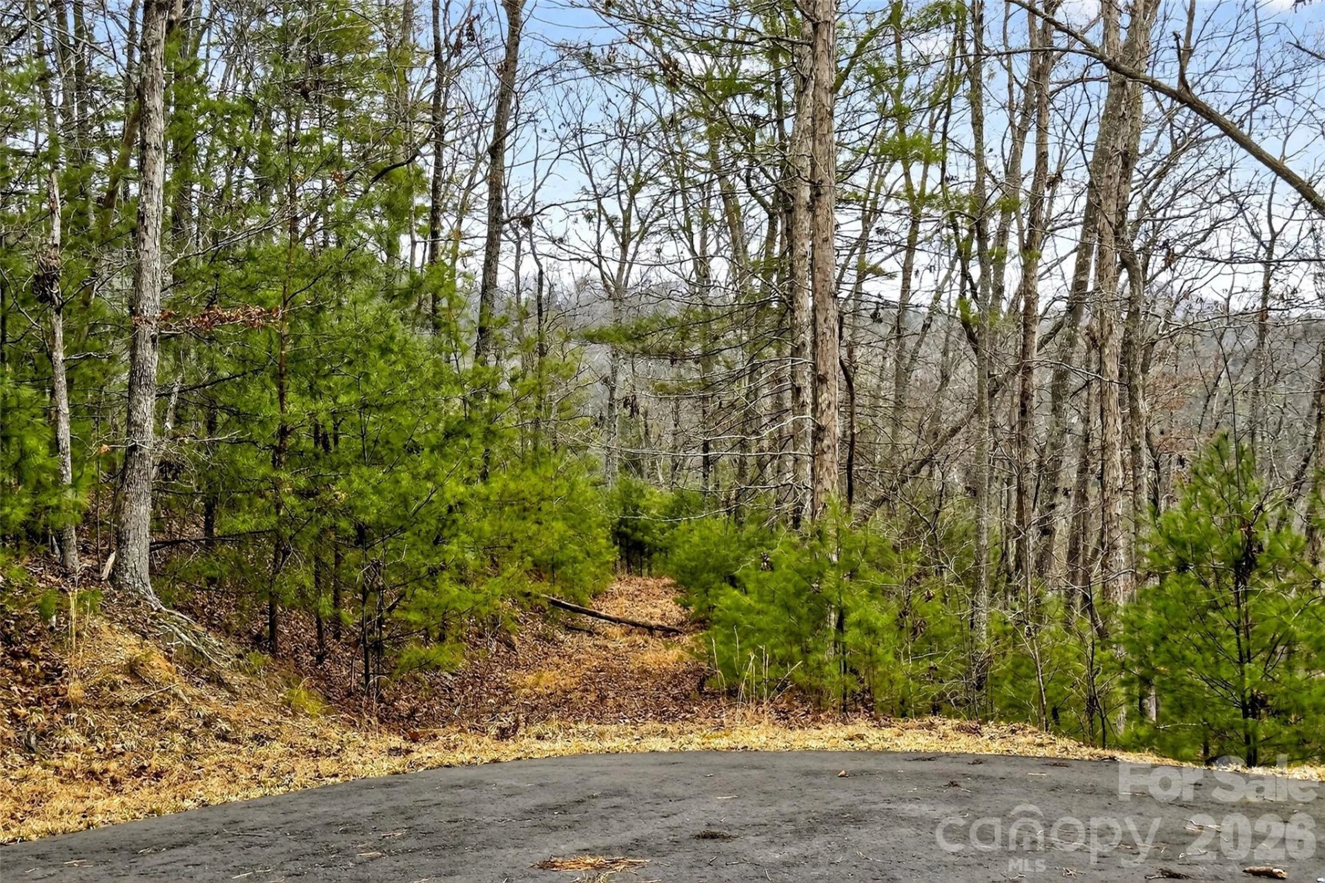149 Turkey Trot Trail #17 - Photo 10