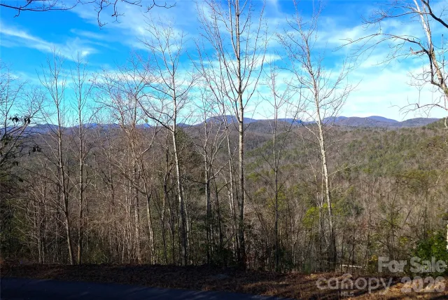 TBD Ruffed Grouse Road, Brevard, NC, 28712