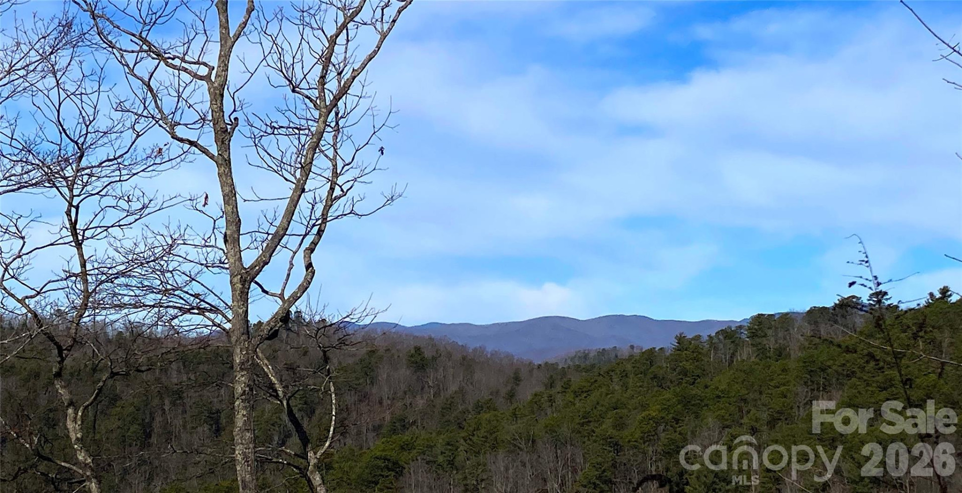 TBD Ruffed Grouse Road #L045 - Photo 2