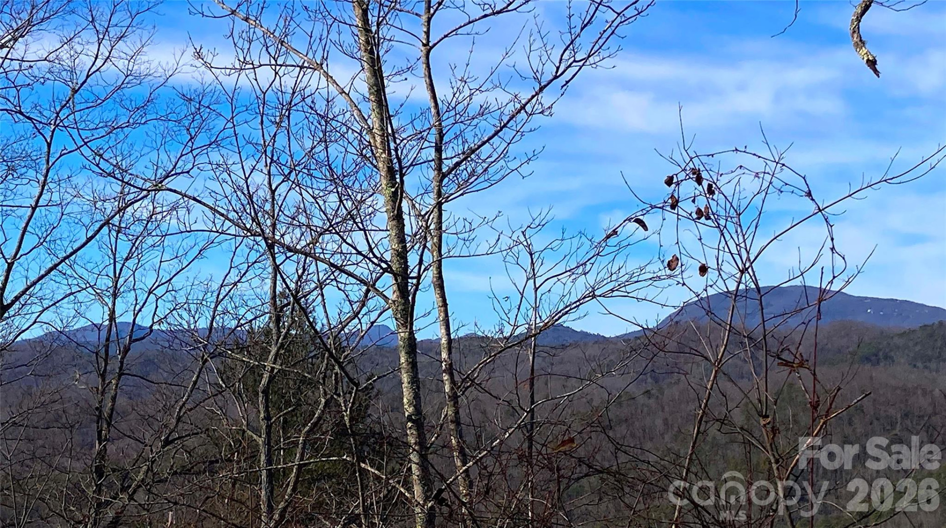 TBD Ruffed Grouse Road #L045 - Photo 3