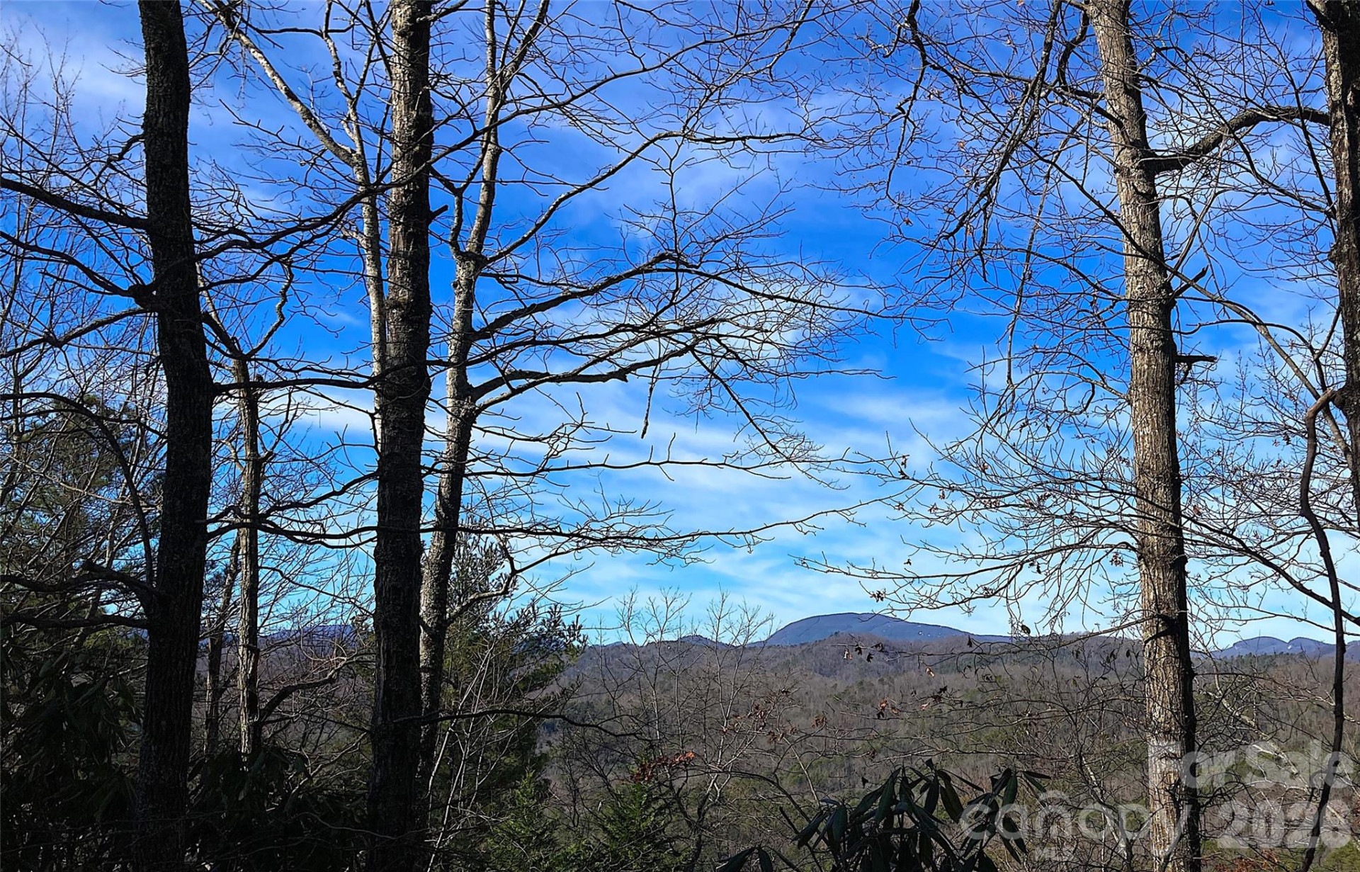 TBD Ruffed Grouse Road #L045 - Photo 4