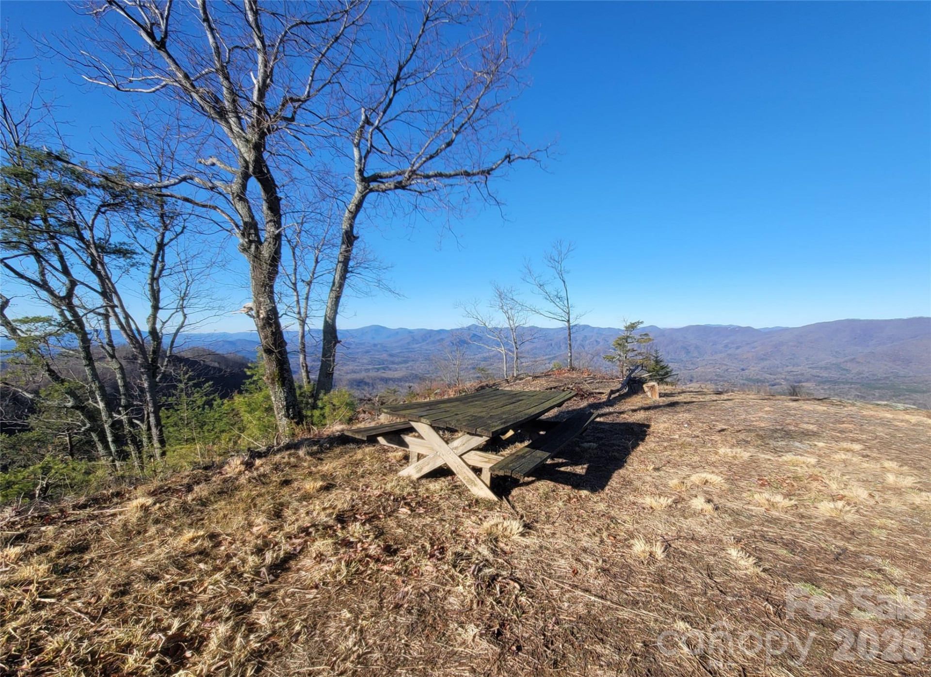 0 Devin Ridge Lane - Photo 12