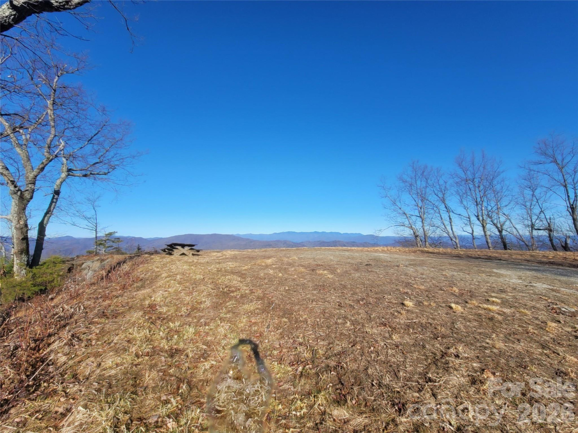 0 Devin Ridge Lane - Photo 10