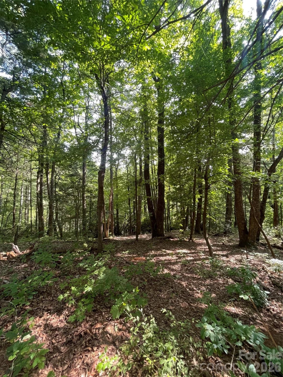 Lot # 21 Haverhill Court #21