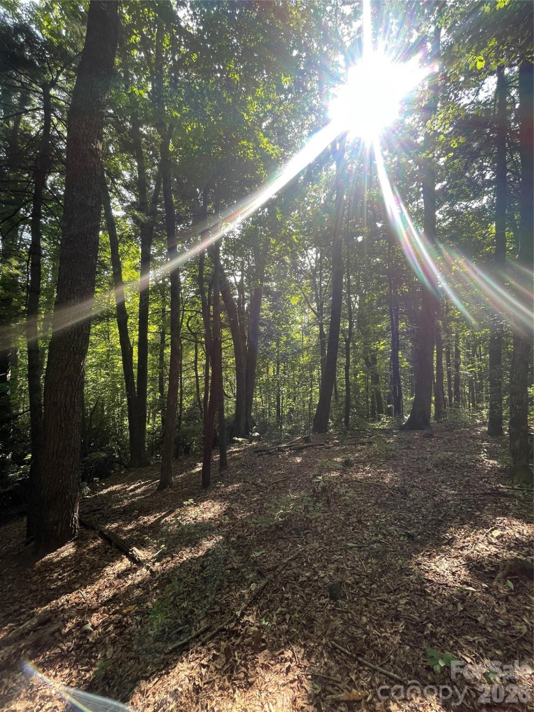 Lot # 21 Haverhill Court #21 - Photo 11