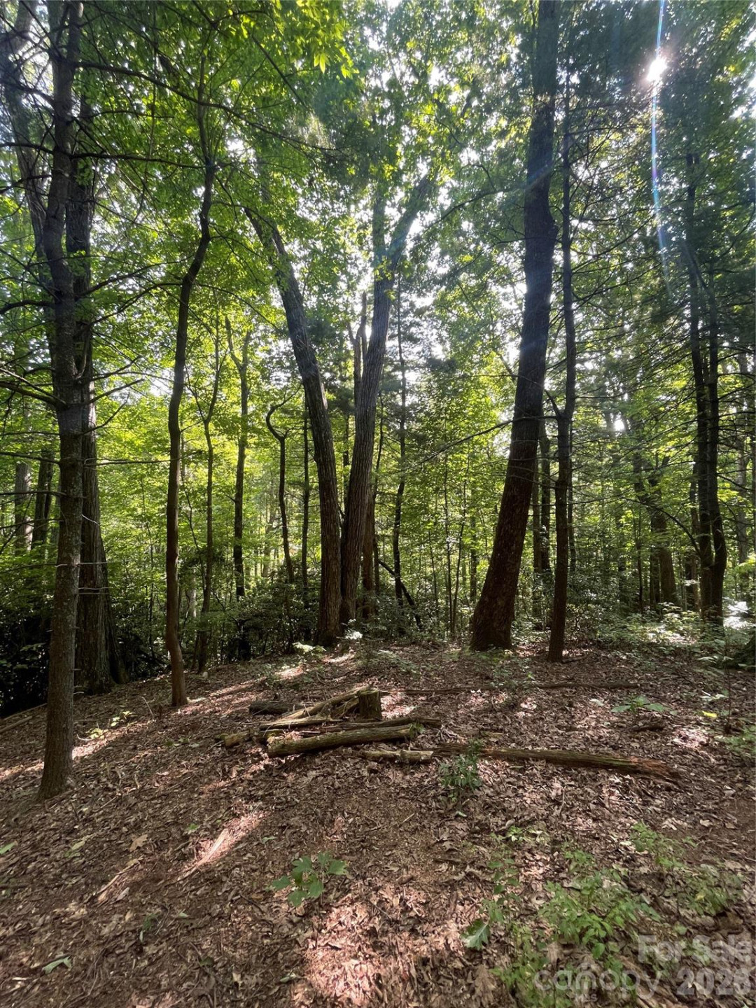 Lot # 21 Haverhill Court #21 - Photo 12