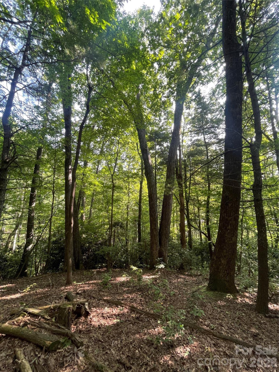 Lot # 21 Haverhill Court #21 - Photo 13