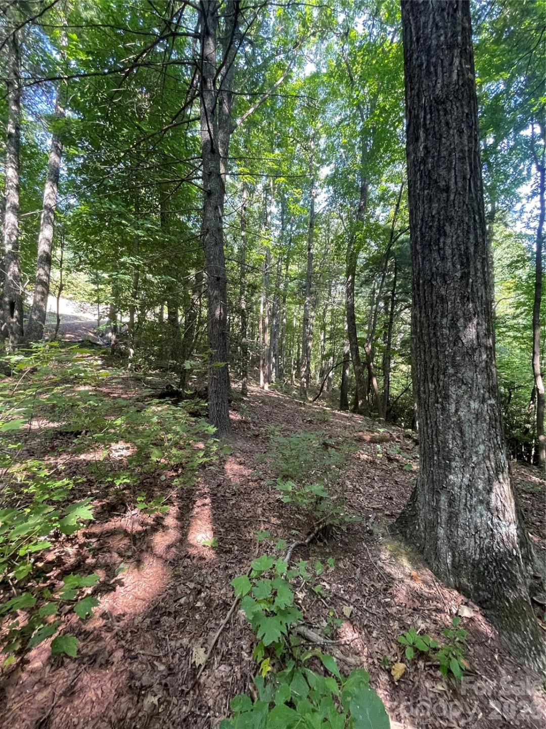 Lot # 21 Haverhill Court #21 - Photo 16