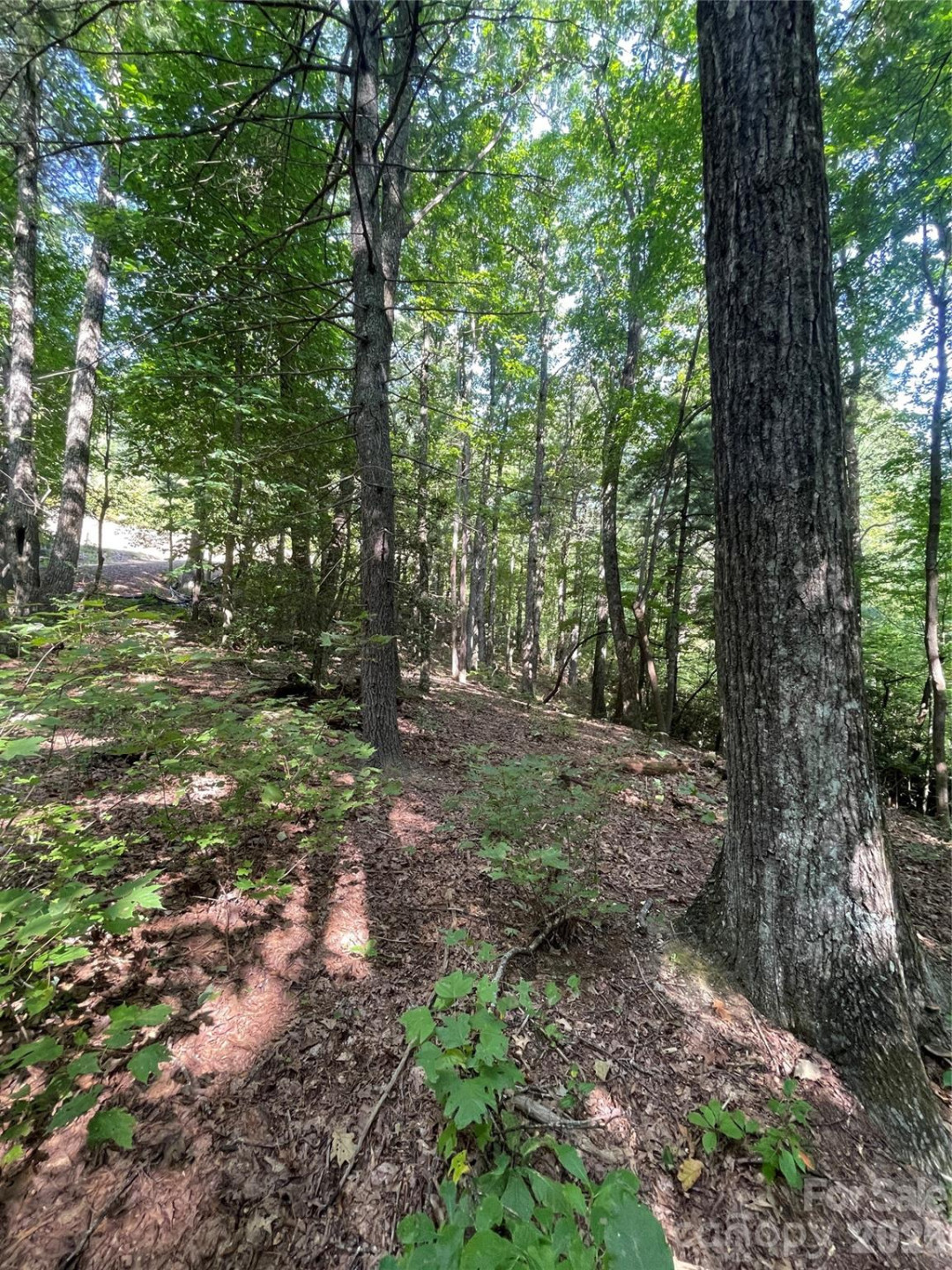 Lot # 21 Haverhill Court #21 - Photo 17