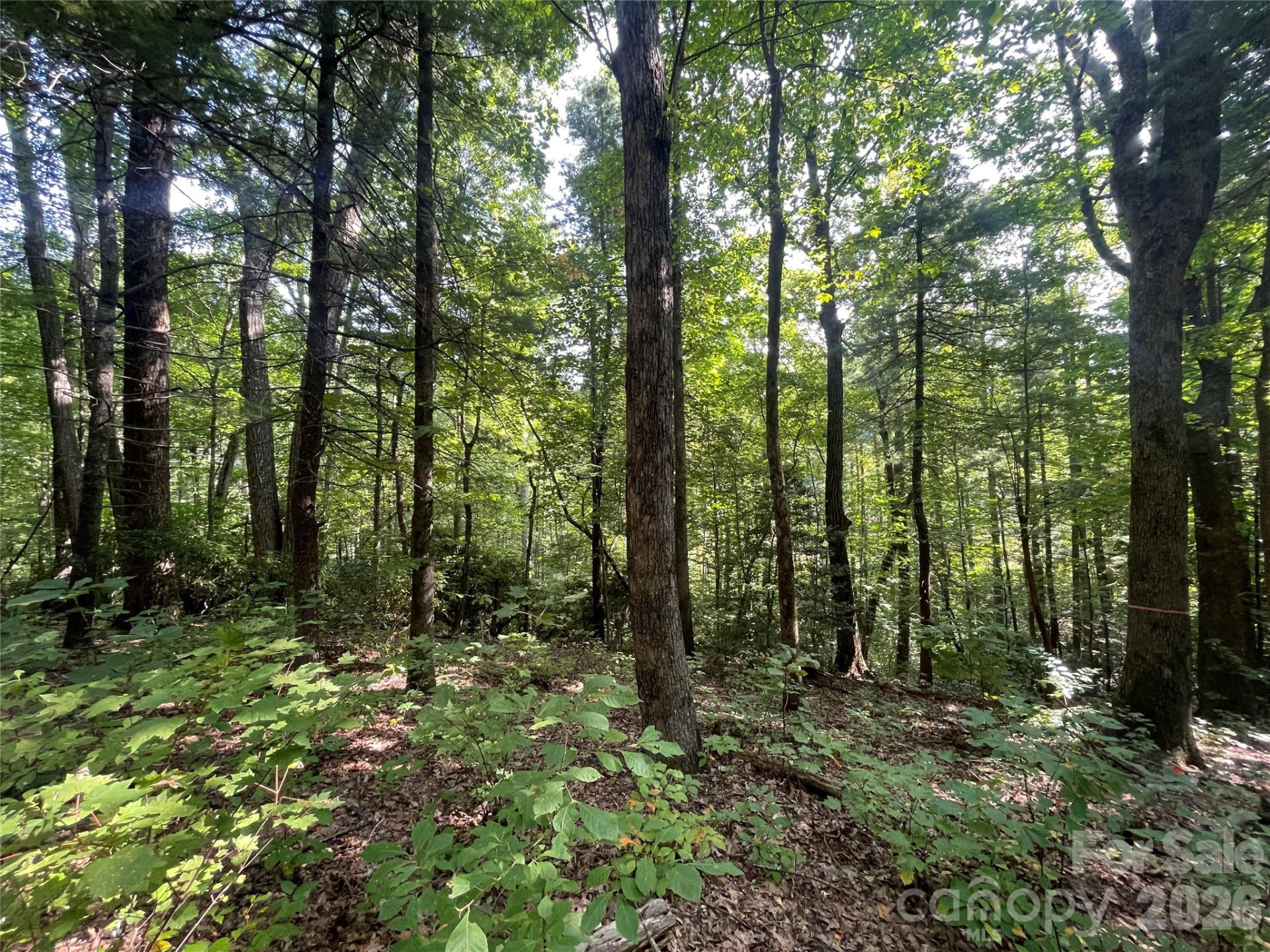 Lot # 21 Haverhill Court #21 - Photo 18