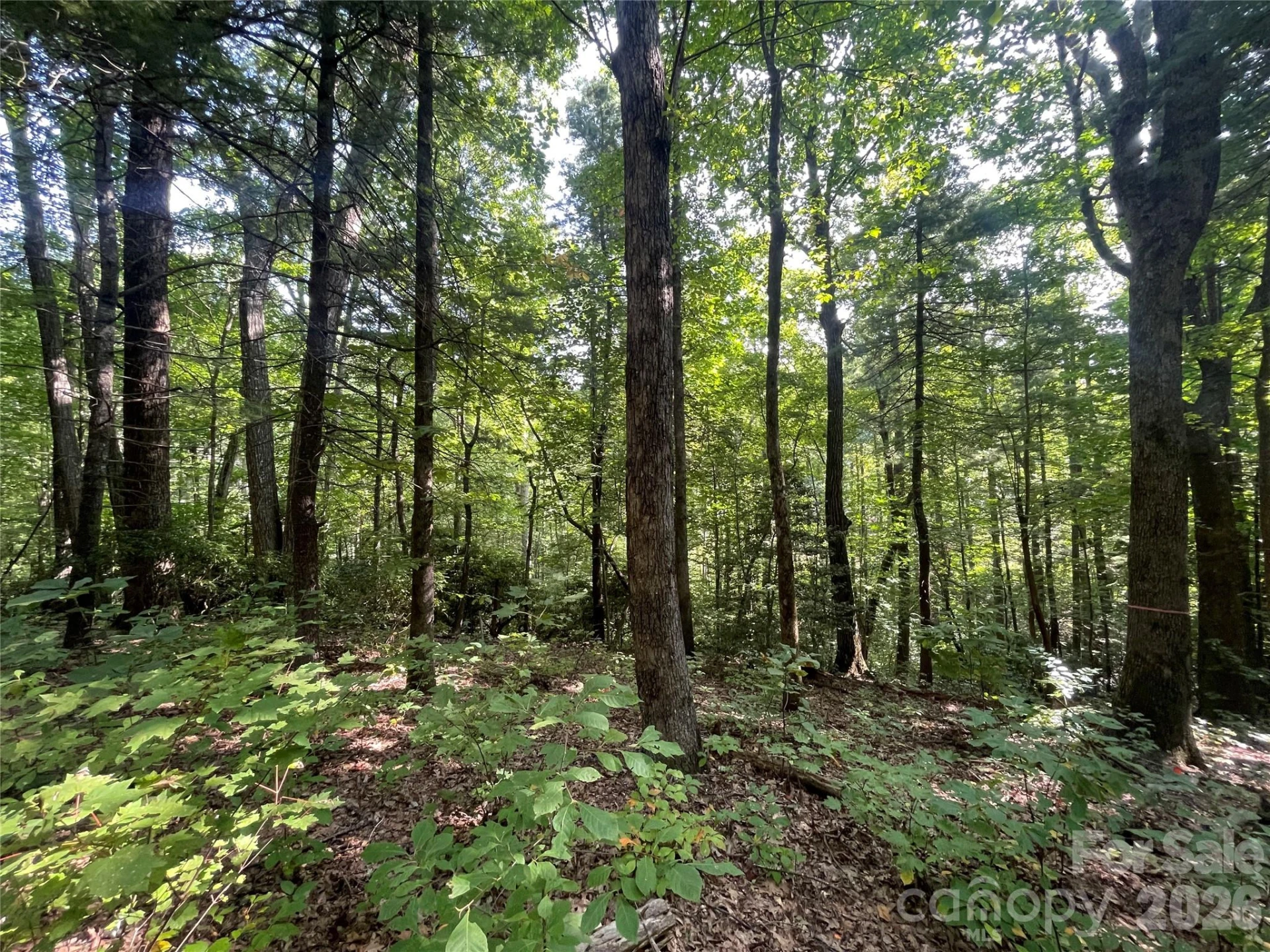 Lot # 21 Haverhill Court #21 - Photo 18