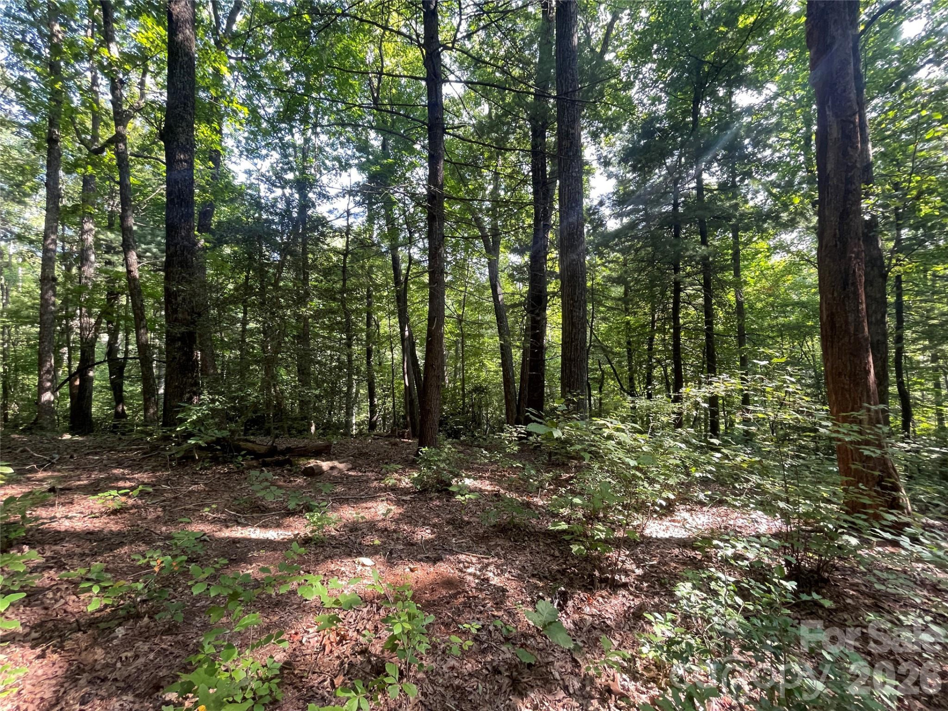 Lot # 21 Haverhill Court #21 - Photo 19