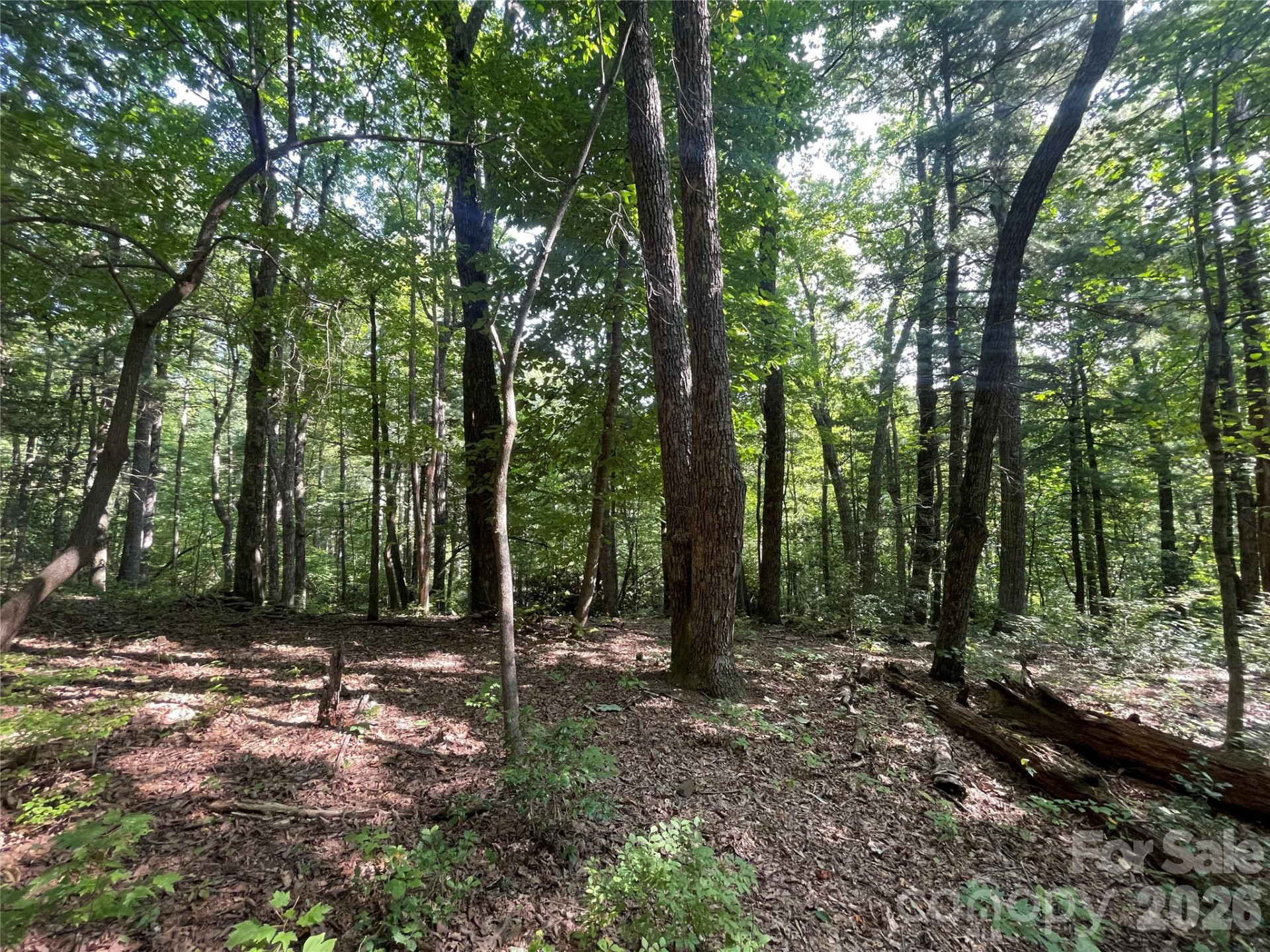 Lot # 21 Haverhill Court #21 - Photo 21