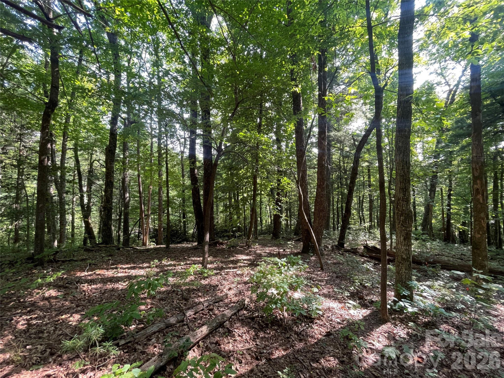 Lot # 21 Haverhill Court #21 - Photo 22