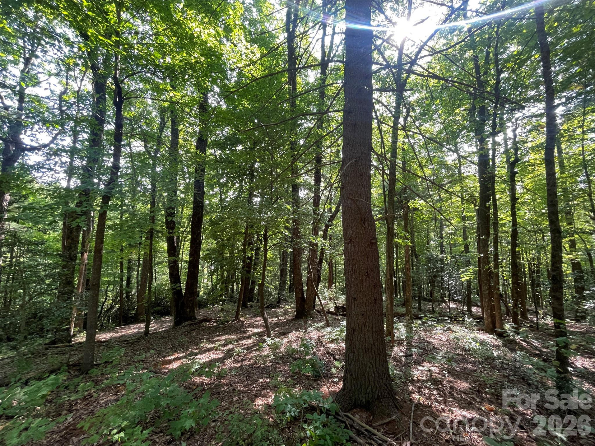 Lot # 21 Haverhill Court #21 - Photo 23