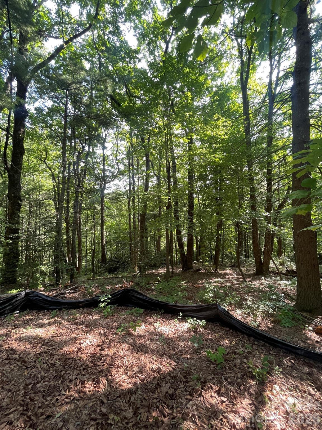 Lot # 21 Haverhill Court #21 - Photo 8