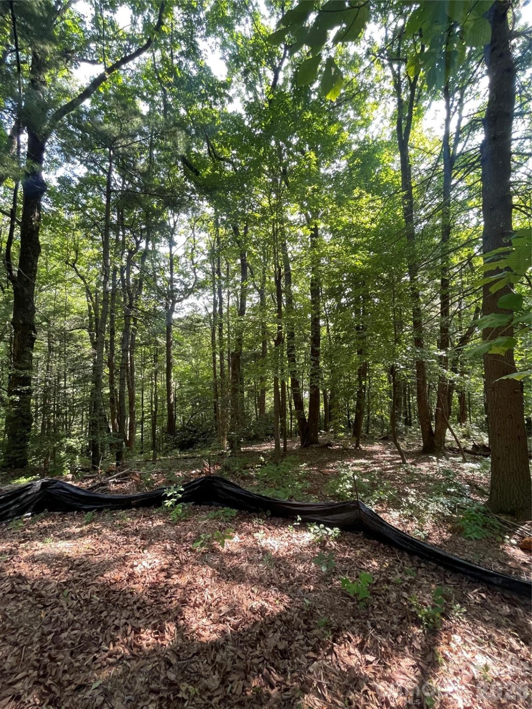Lot # 21 Haverhill Court #21 - Photo 8