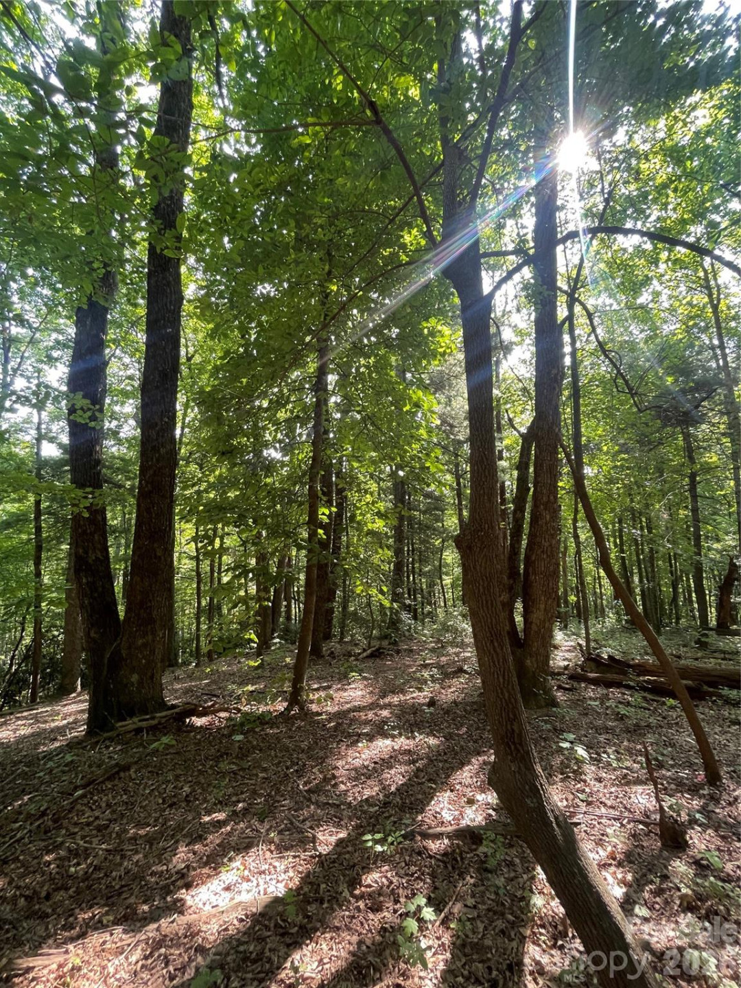 Lot # 21 Haverhill Court #21 - Photo 9